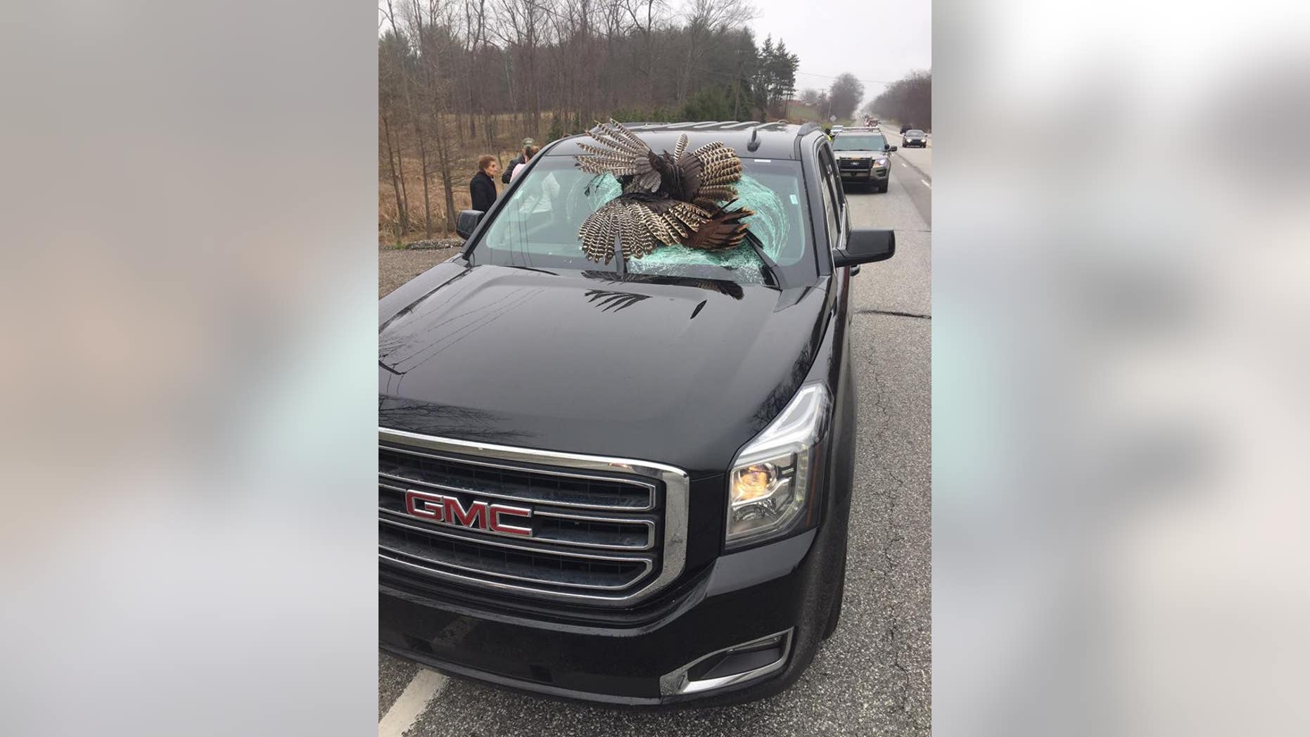 Wild turkey crashes through family's windshield in northern Indiana.
