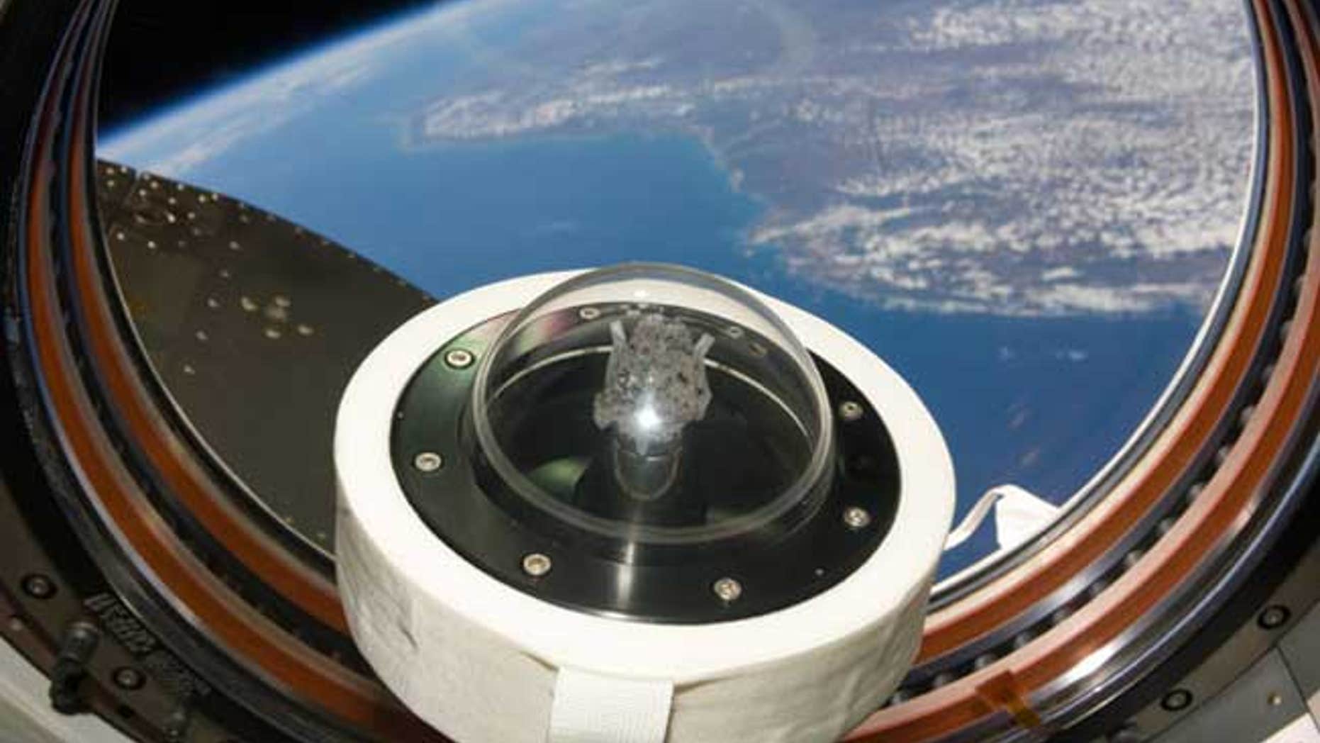 A moon rock brought to Earth by Apollo 11, humans' first landing on the moon in July 1969, is shown as it floats aboard the International Space Station. Part of Earth can be seen through the window.