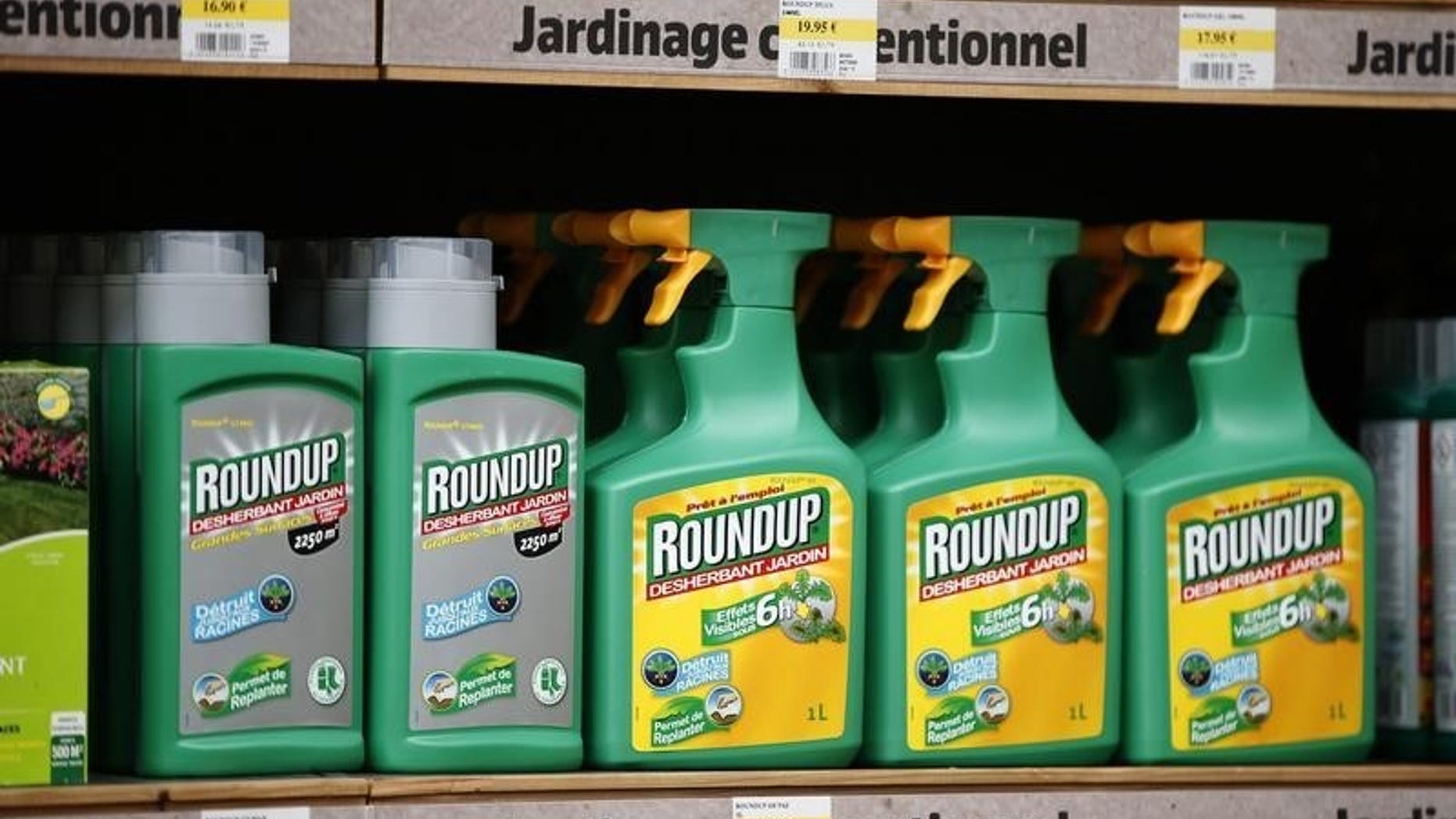 Monsanto's Roundup weedkiller atomizers are displayed for sale at a garden shop at Bonneuil-Sur-Marne near Paris, France, June 16, 2015. REUTERS/Charles Platiau