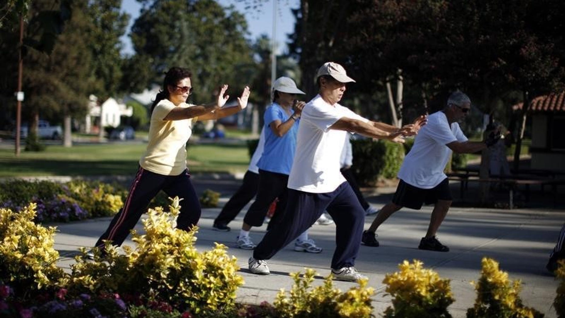 Johney Yu (2nd R), 75, who emigrated from China 40 years ago, and Diana Yang (L), who emigrated from China 28 years ago, practice tai chi at a daily class in Alhambra, home of many Chinese and Vietnamese migrants, in California August 14, 2014. REUTERS/Lucy Nicholson