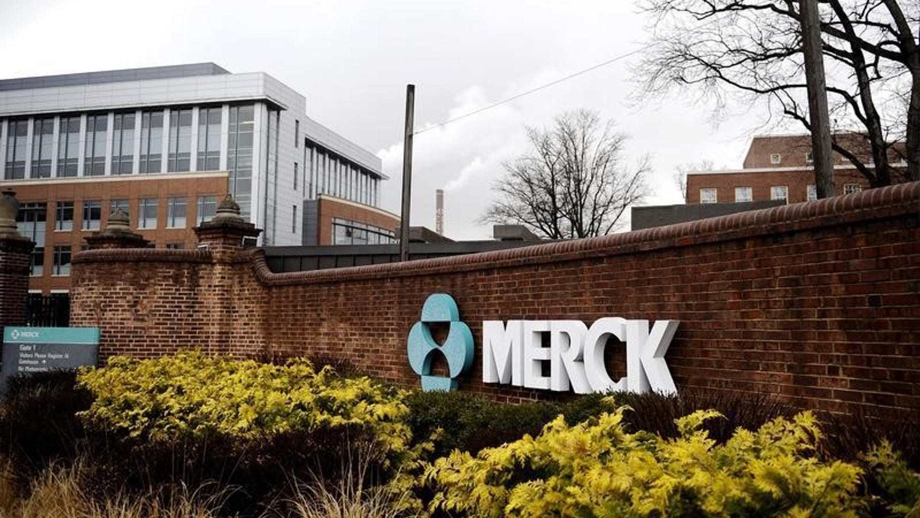 A view of the Merck & Co. campus in Linden, New Jersey March 9, 2009, after Merck & Co Inc said it would acquire Schering-Plough Corp in $41.1 billion deal, widening Merck's pipeline and diversifying its portfolio of medicines. REUTERS/Jeff Zelevansky