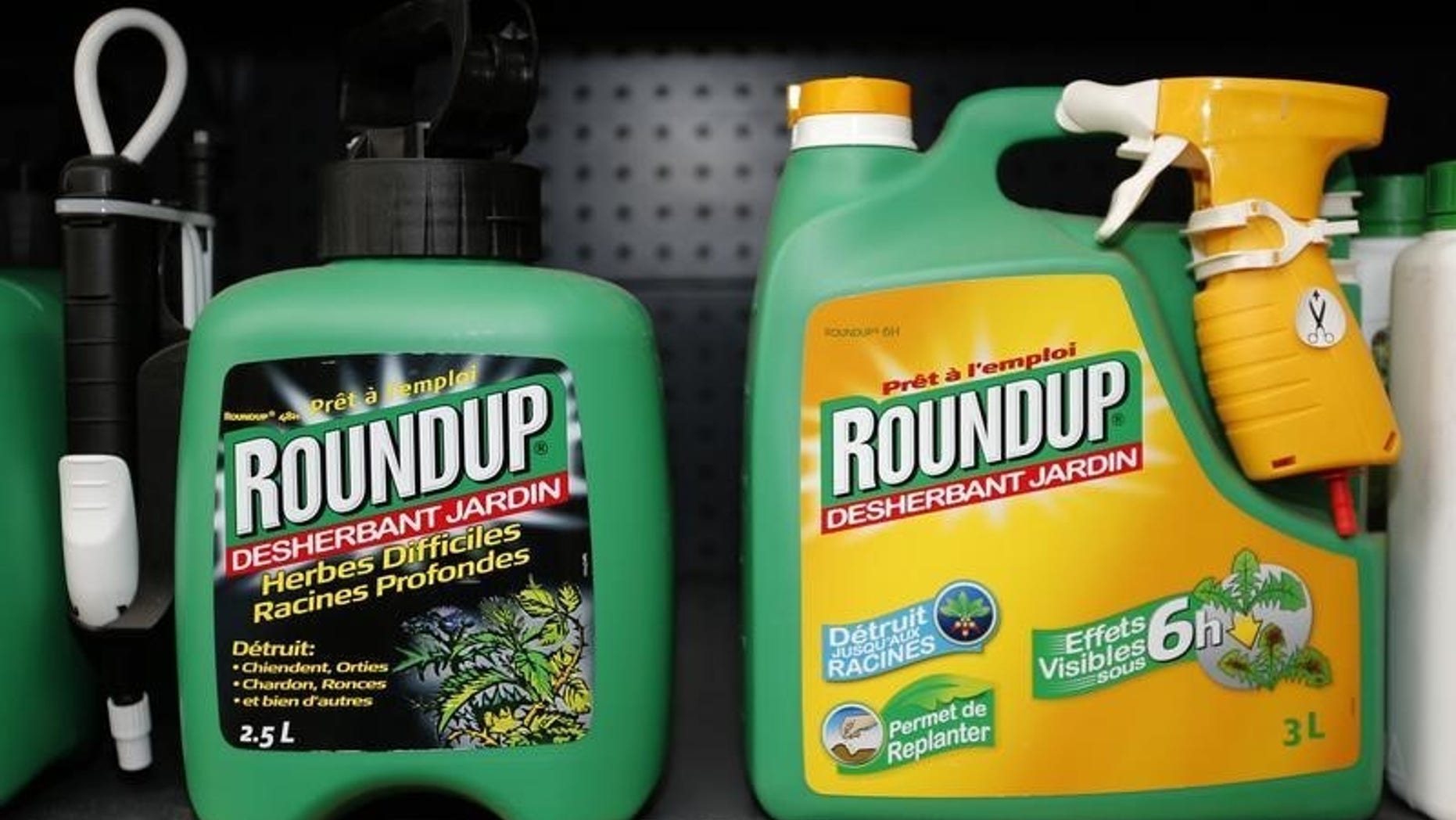 Monsanto's Roundup weedkiller atomizers are displayed for sale at a garden shop at Bonneuil-Sur-Marne near Paris, France, June 16, 2015. REUTERS/Charles Platiau