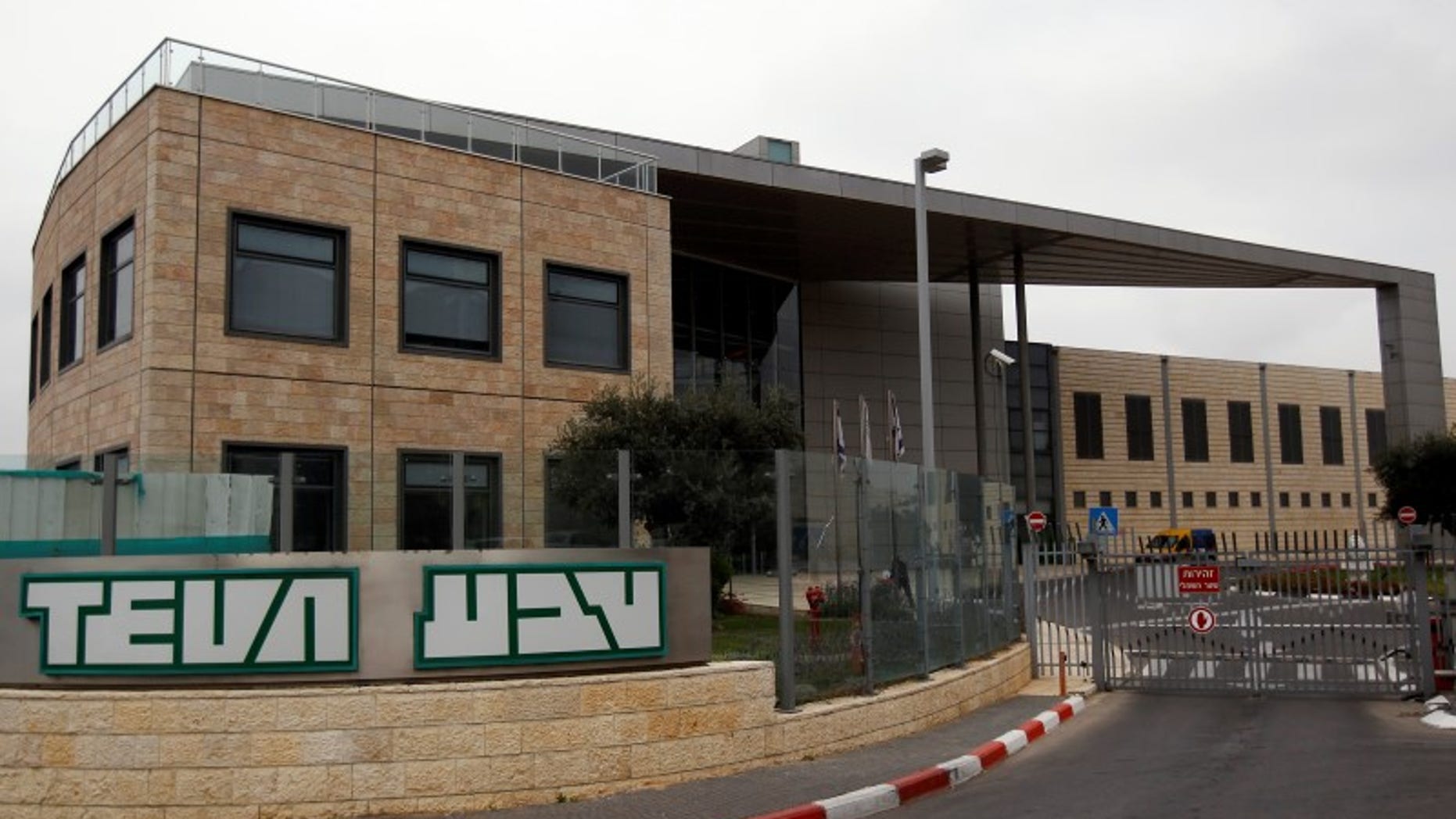 Teva Pharmaceutical Industries' Jerusalem oral solid dosage plant (OSD) is seen December 21, 2011. REUTERS/Ronen Zvulun