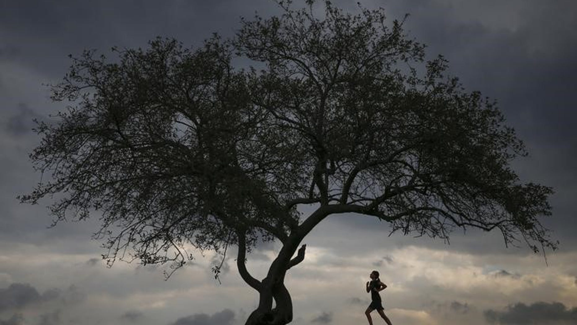 A woman is seen jogging at Cunningham Park in the borough of Queens in New York, September 16, 2014. REUTERS/Shannon Stapleton