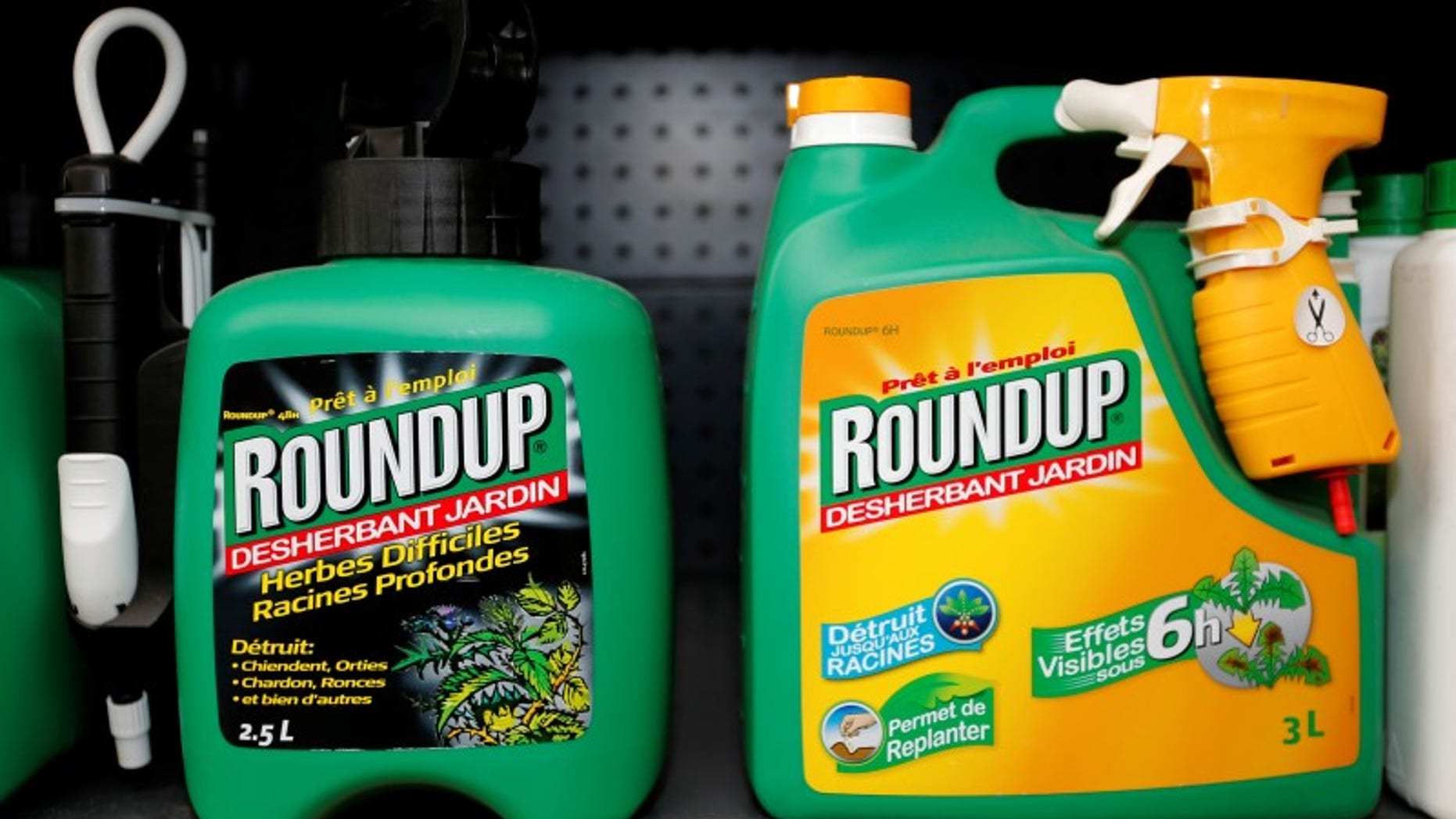 Monsanto's Roundup weedkiller atomizers are displayed for sale at a garden shop at Bonneuil-Sur-Marne near Paris, France, June 16, 2015. REUTERS/Charles Platiau