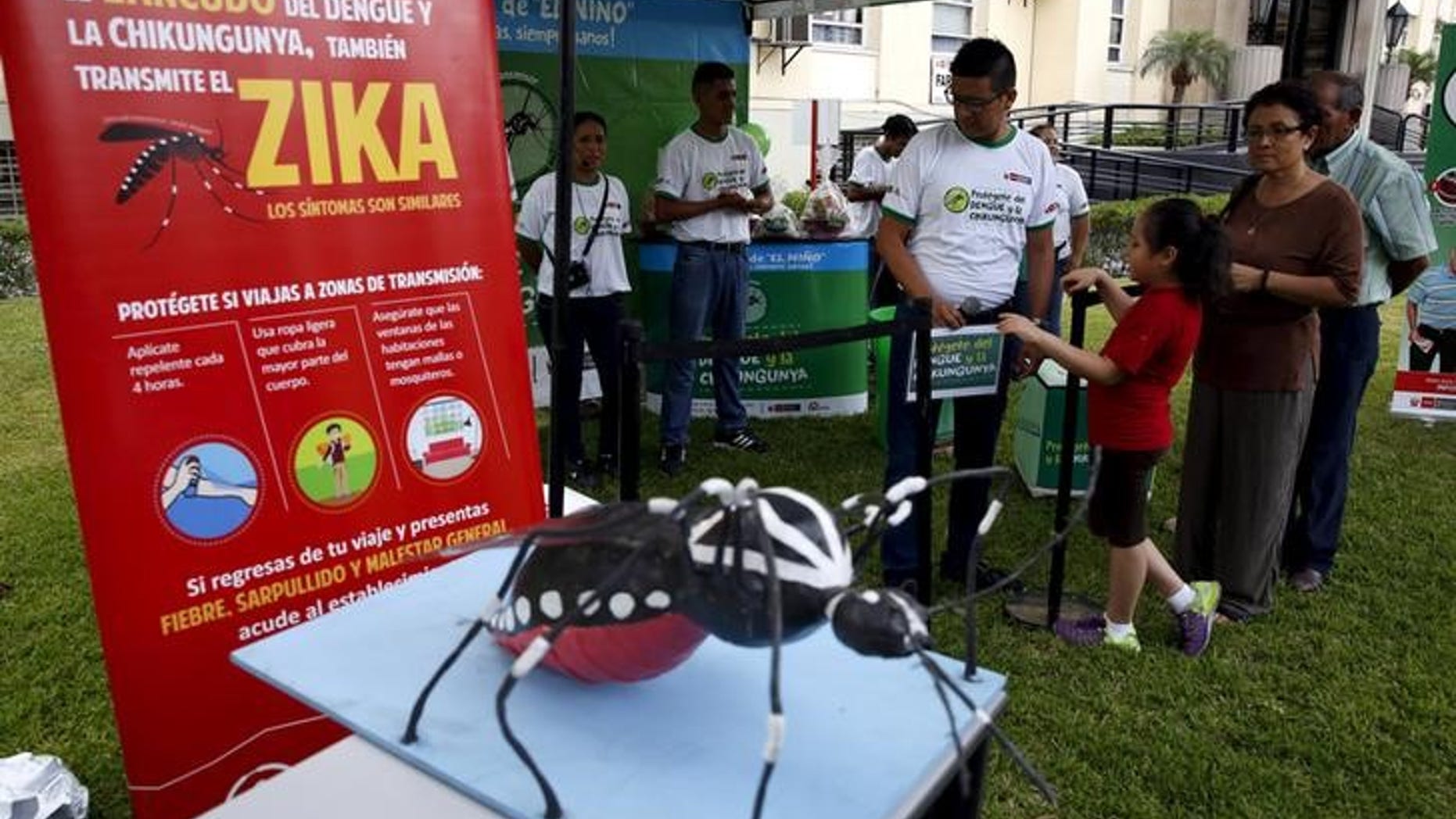 A model of a mosquito is exhibited during a campaign to raise awareness of preventing the entry of the Zika virus into the country, at the Health Ministry in Lima, Peru January 27, 2016. REUTERS/Mariana Bazo