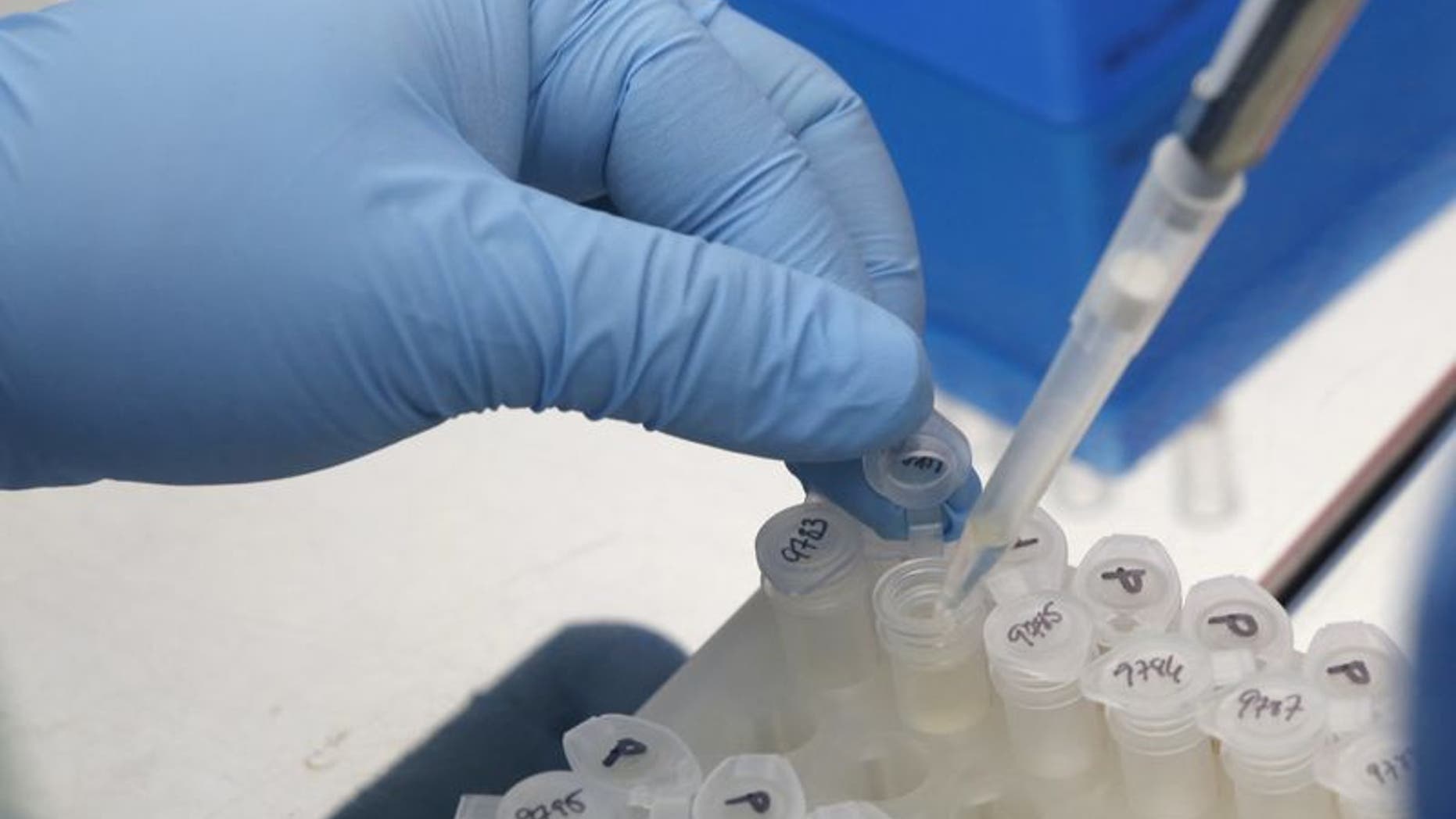 A medical researcher works on results of tests for preventing the spread of the Zika virus and other mosquito-borne diseases at the Gorgas Memorial institute for Health Studies laboratory in Panama City