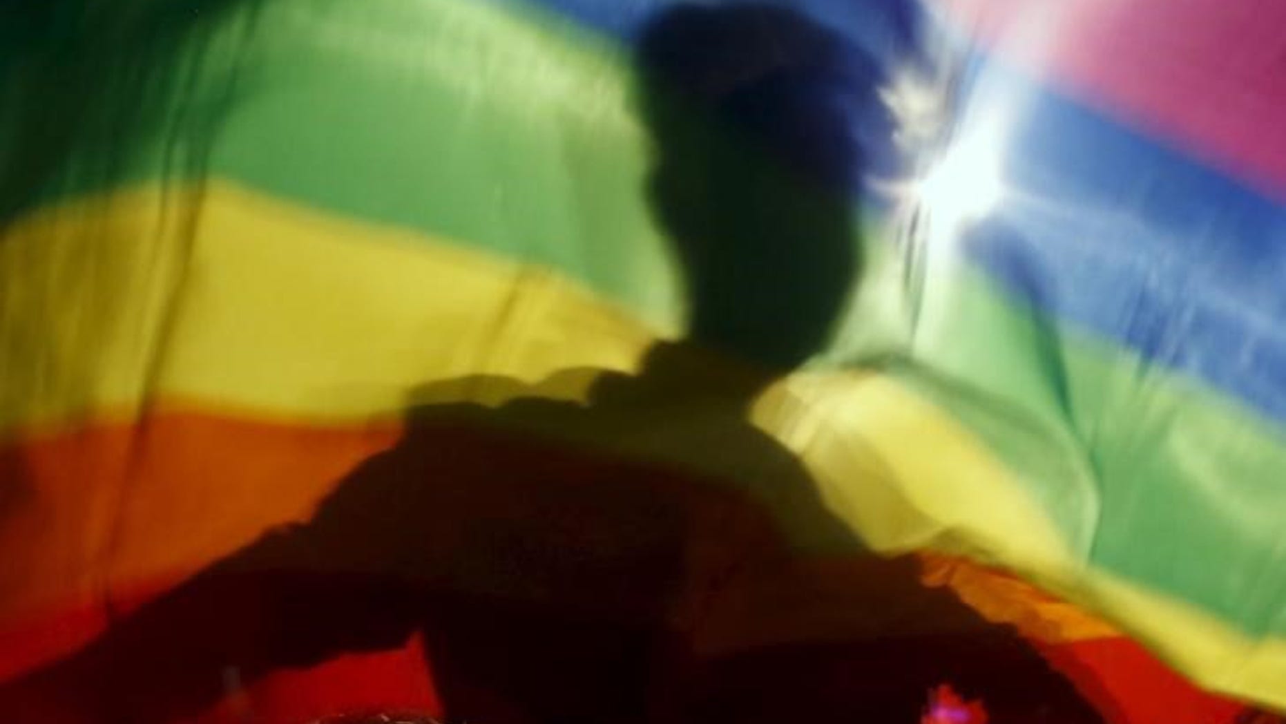 A gay man is silhoutted on a gay rainbow flag during a demonstration for gay rights in Hanoi
