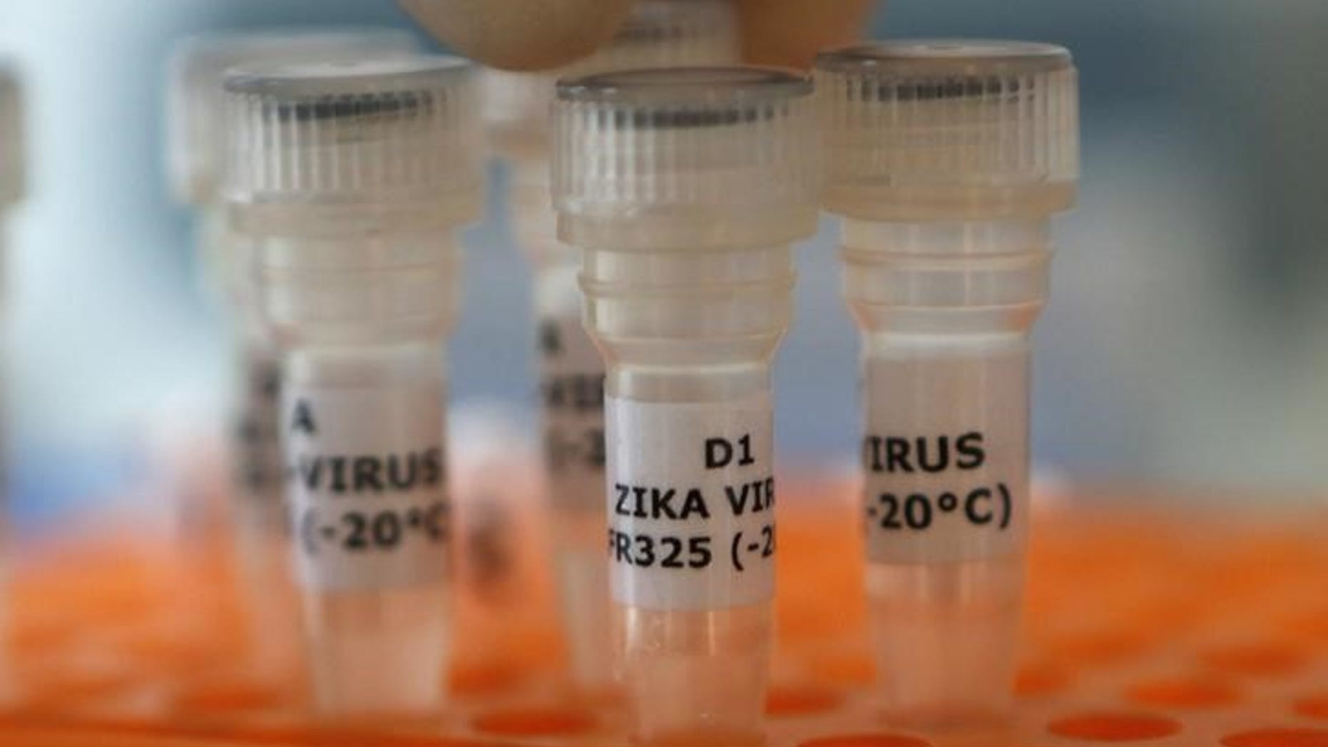 An employee examines tubes with the label 'Zika virus' at Genekam Biotechnology AG in Duisburg