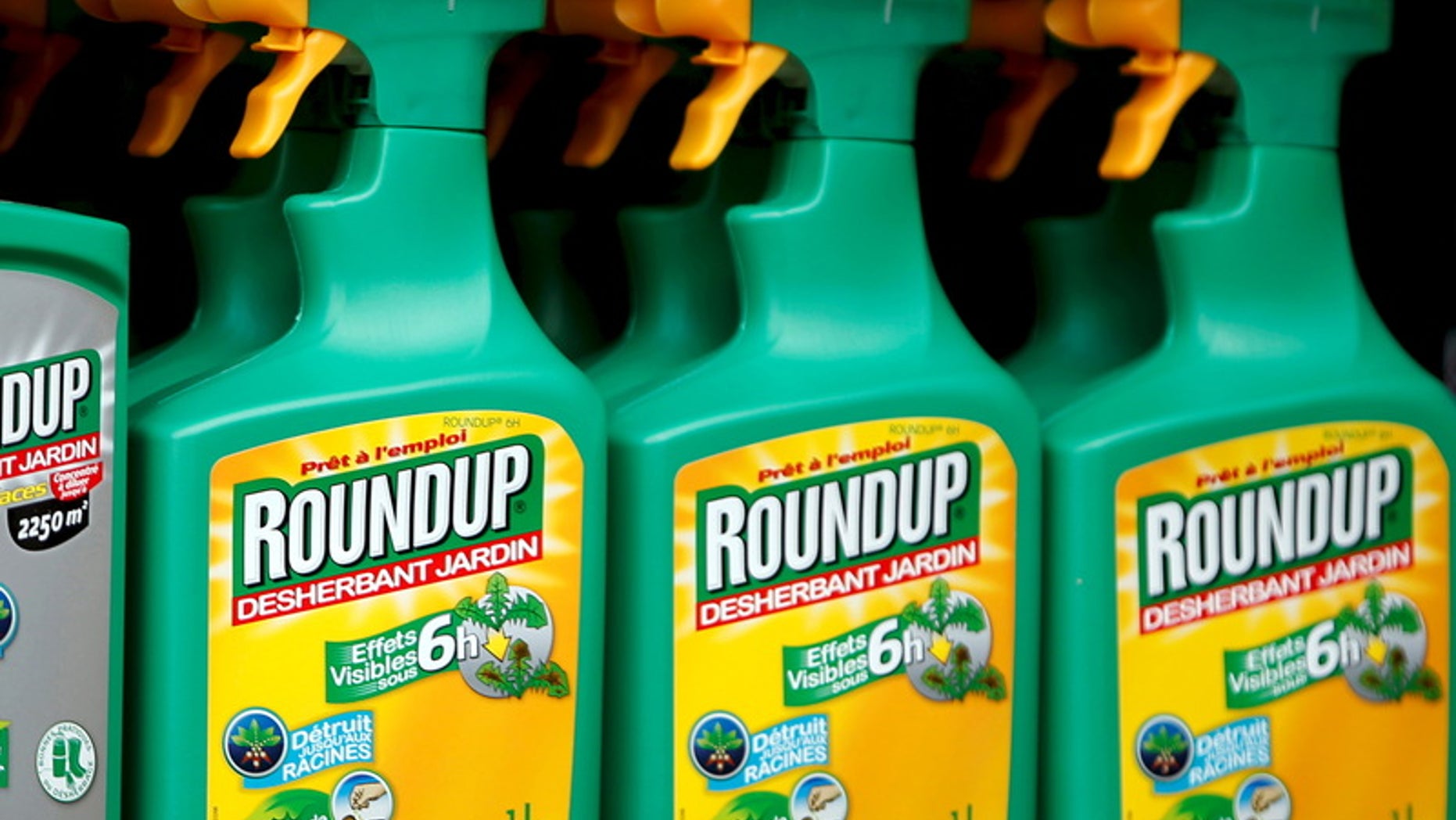 File photo of Monsanto's Roundup weedkiller atomizers seen on sale at a garden shop at Bonneuil-Sur-Marne near Paris