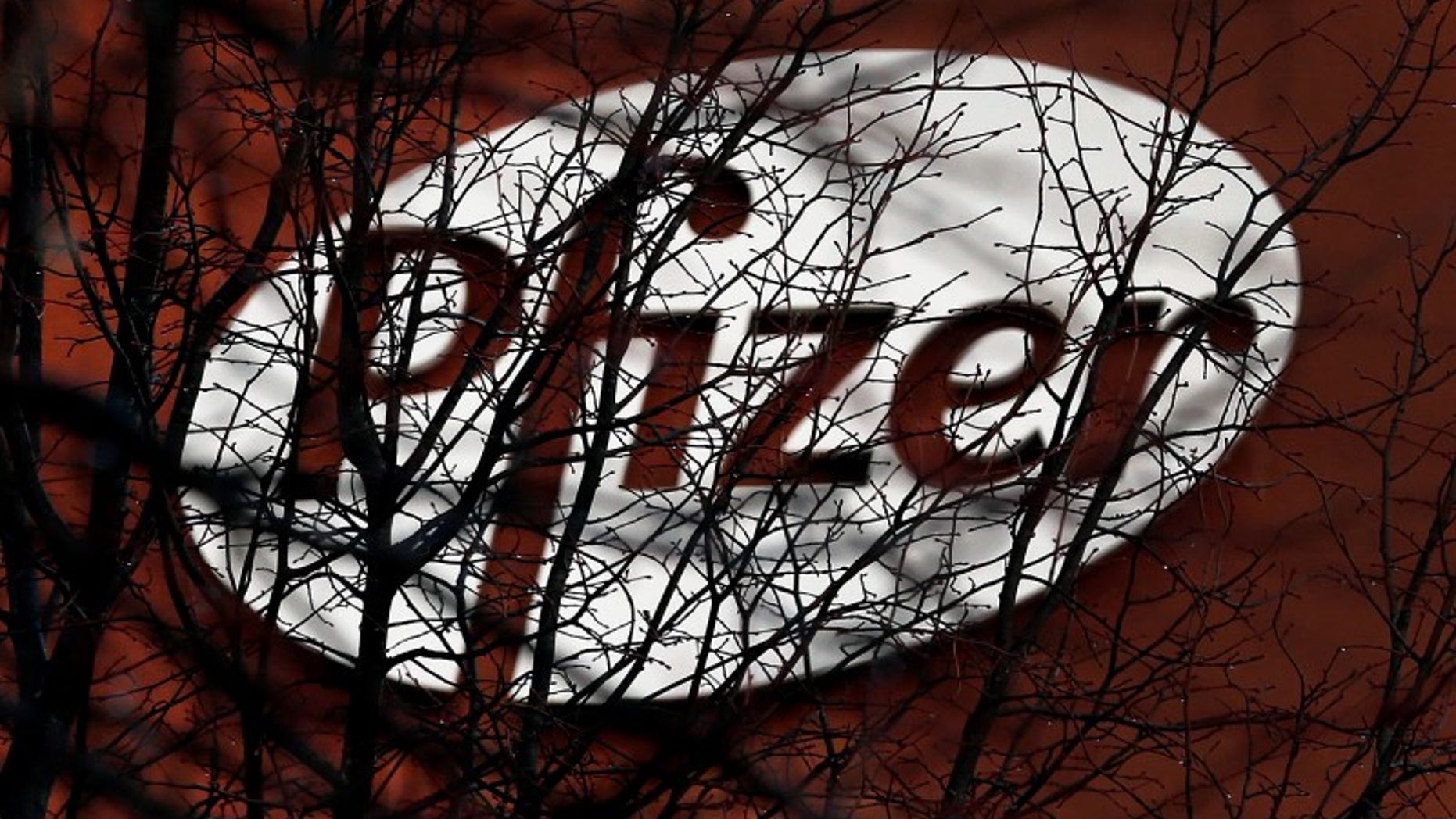 A company logo is seen through branches at a Pfizer office in Dublin