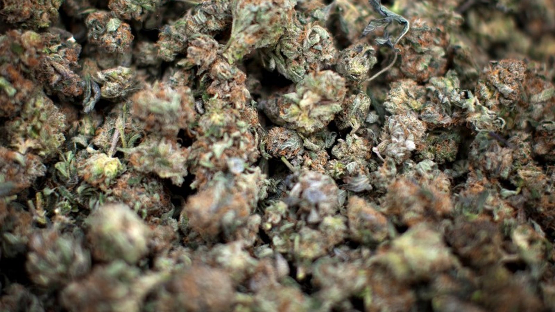 Marijuana is pictured for sale during the annual 4/20 day, which promotes the use of marijuana, in Vancouver