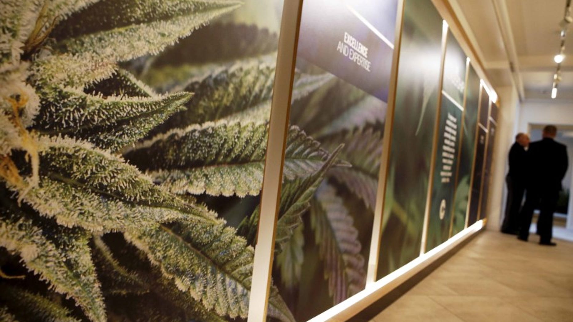 The inside of the Columbia Care medical marijuana dispensary is seen in New York.