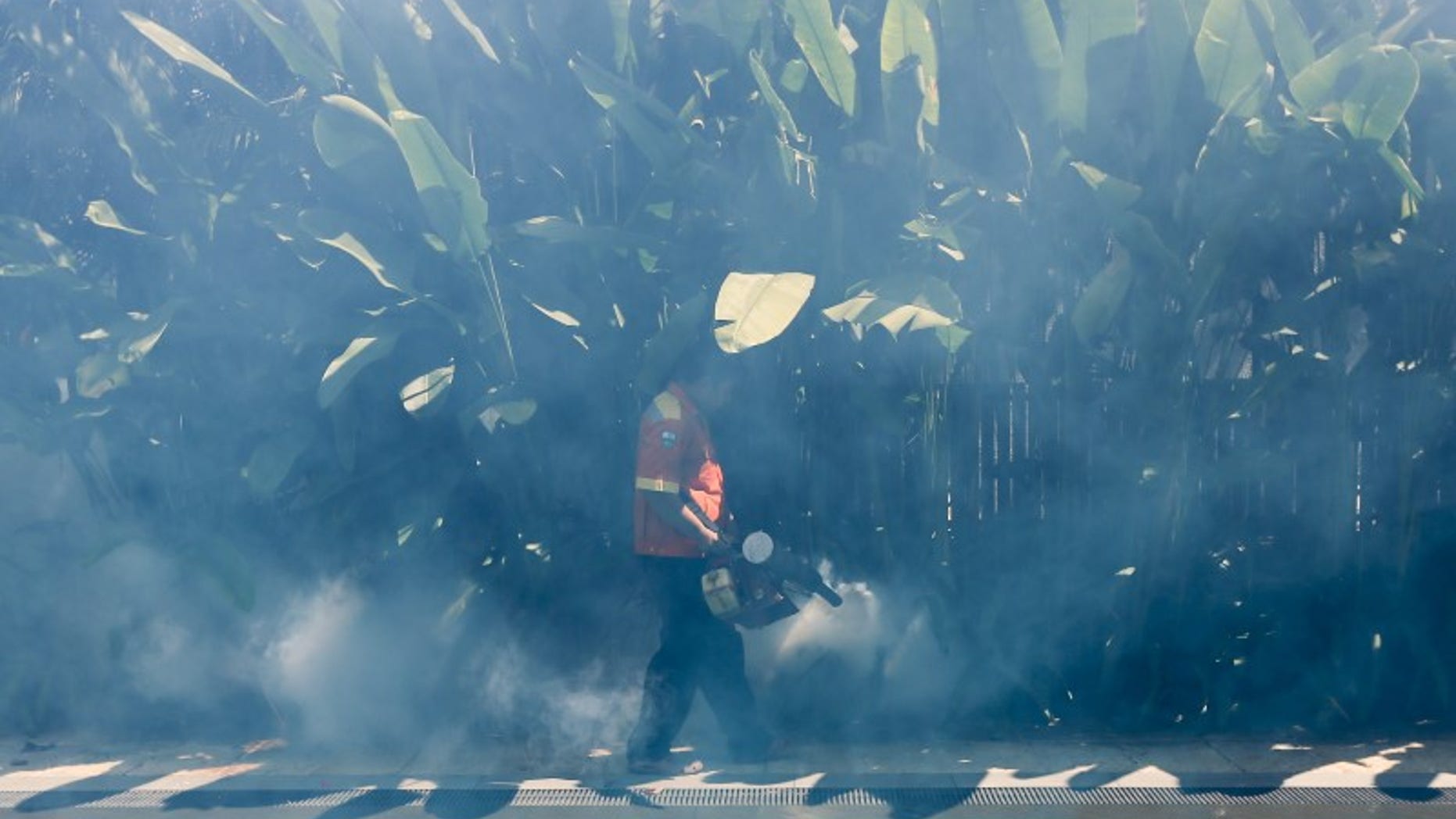 A worker fumigates the area to control the spread of mosquitoes in Bangkok