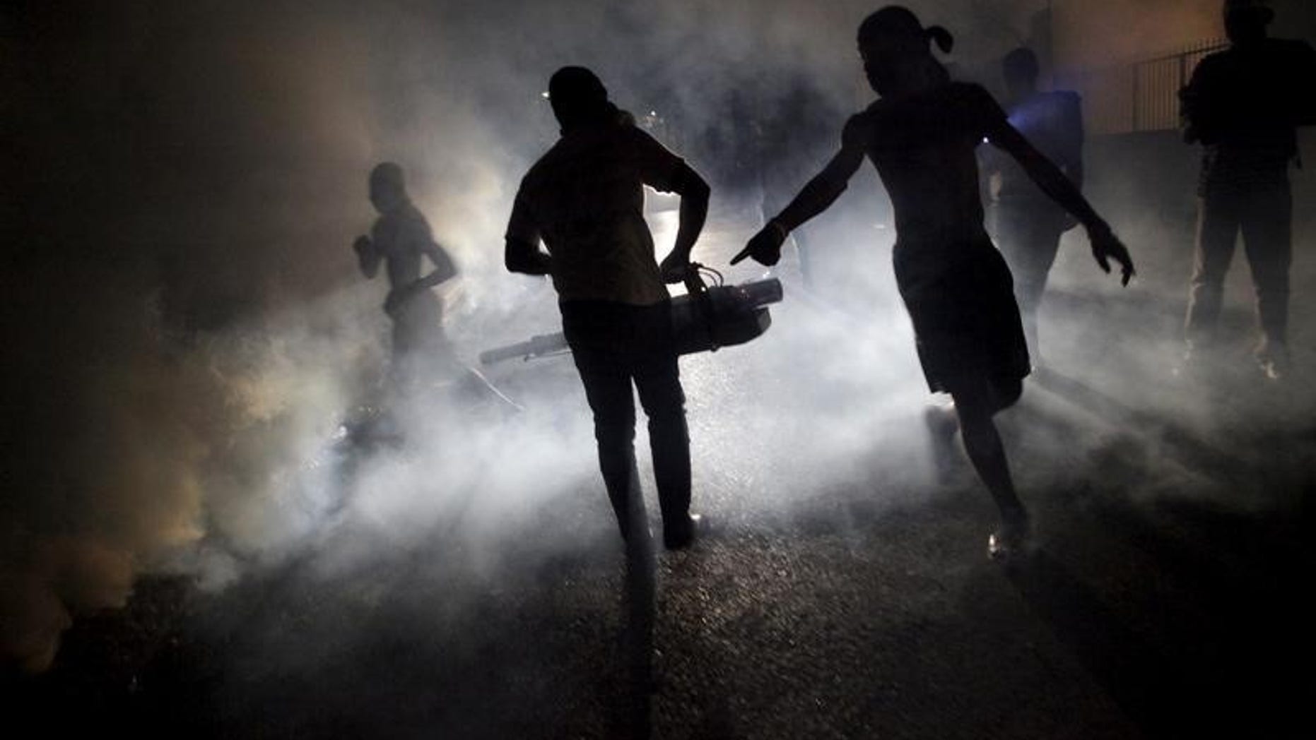 A worker of the Ministry of Public Health and Population fumigates in the street against mosquito breeding to prevent diseases such as malaria, dengue and Zika, during a fumigation campaign in Port-au-Prince, Haiti
