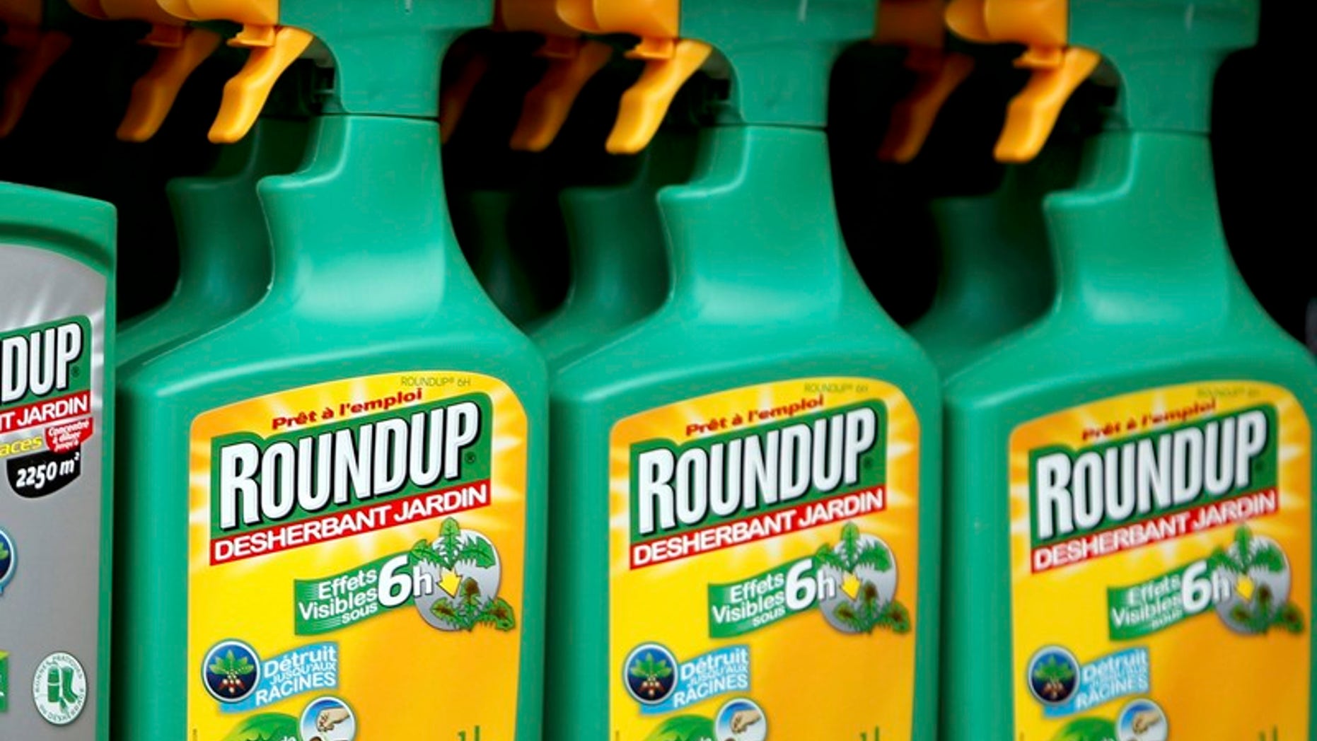 File photo of Monsanto's Roundup weedkiller atomizers displayed for sale at a garden shop at Bonneuil-Sur-Marne near Paris