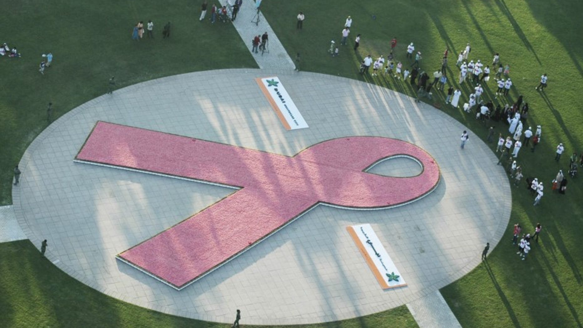 The world's largest awareness ribbon made of flowers is seen from above during the UAE leg of the Avon Walk around the world for Breast Cancer Awareness walkathon in Zaabeel park in Dubai