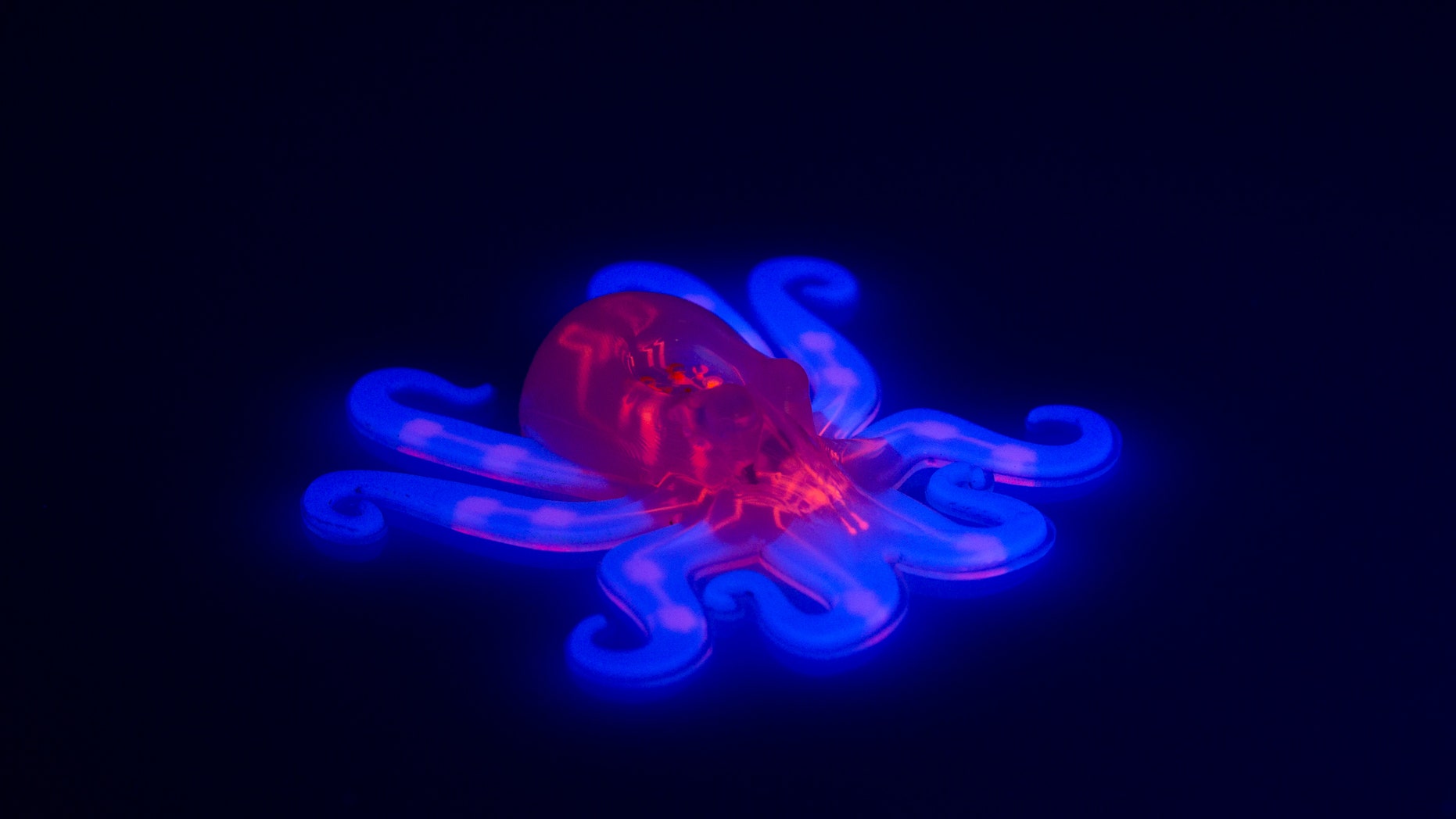 An octobot with fluorescently dyed fugitive inks (red, not auto-evacuated) and hyperelastic actuator layers (blue) fabricated by moulding and EMB3D printing.