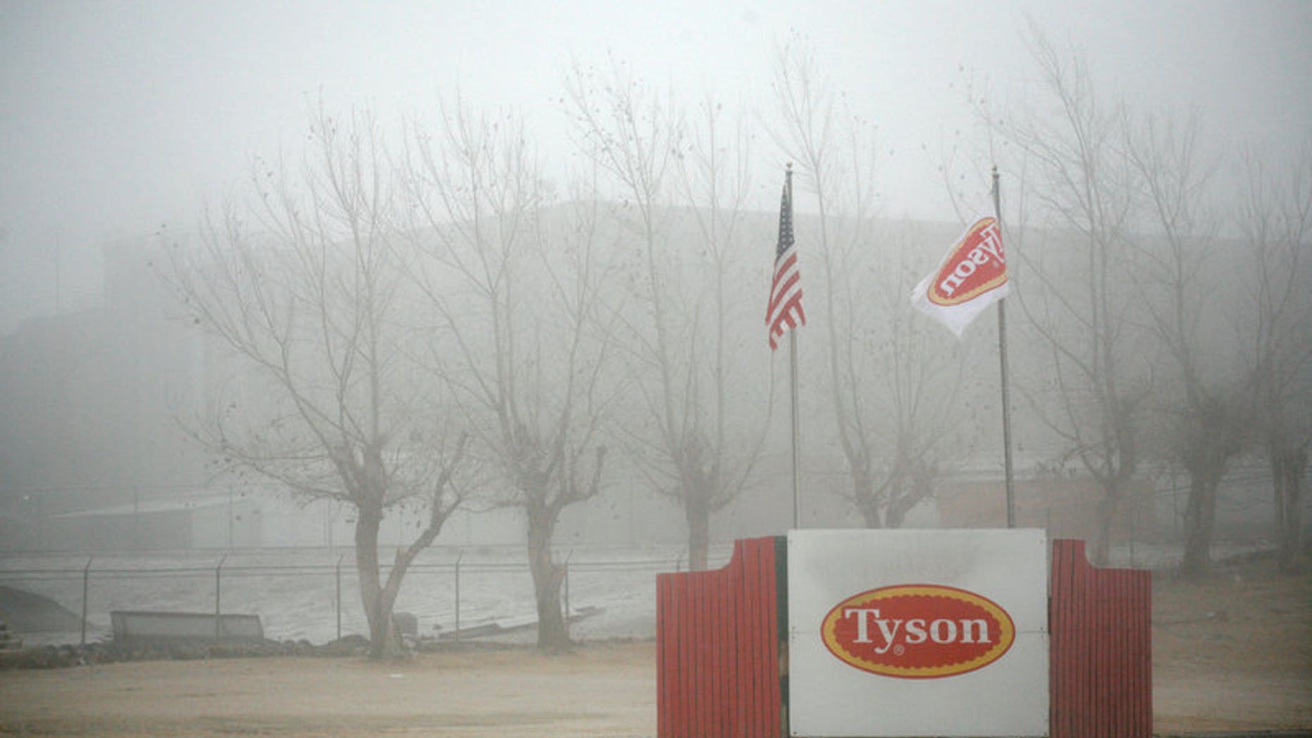 Fog shrouds the Tyson slaughterhouse in Burbank, Washington