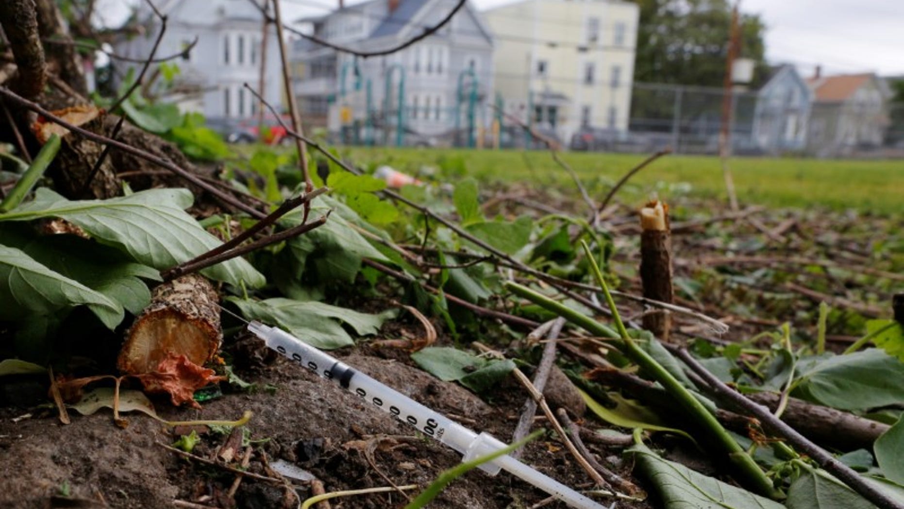 A used needle sits on the ground in a park in Lawrence