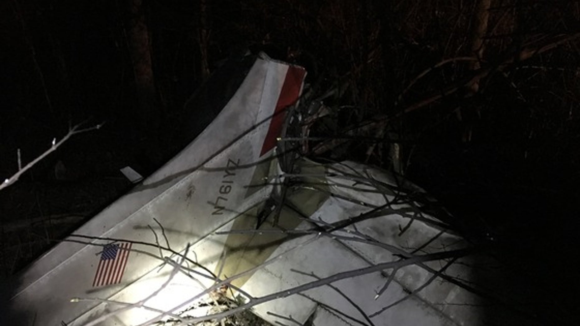 A dog was the only survivor after a plane heading to Maryland crashed Saturday night, killing three people and another dog.