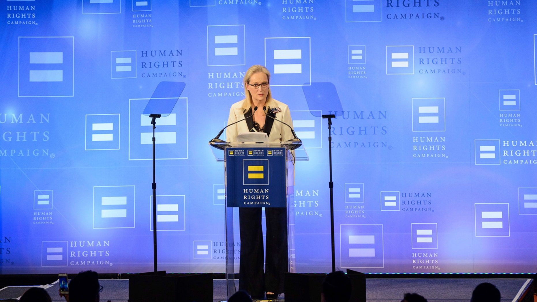 Meryl Streep attends the Human Rights Campaign Greater New York Gala at Waldorf Astoria Hotel on Saturday, Feb. 11, 2017, in New York. (Photo by Christopher Smith/Invision/AP)