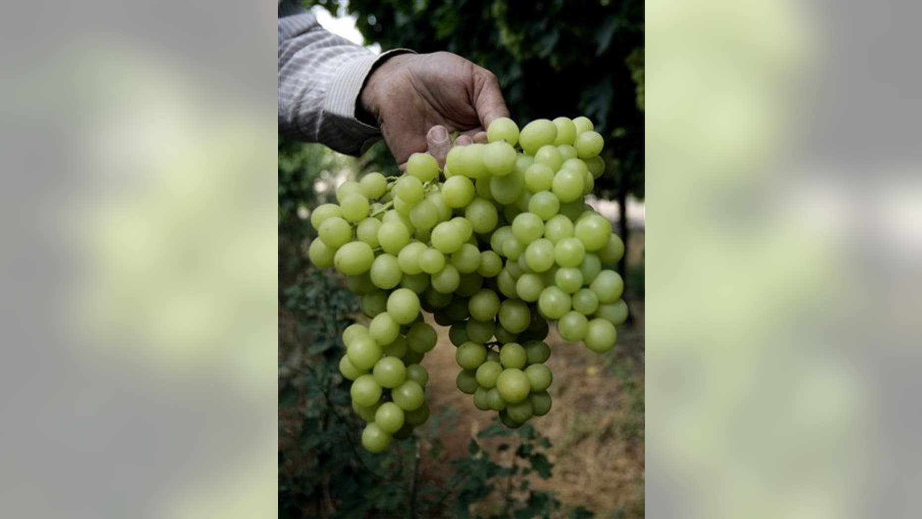 Grapes, hopefully of the black widow-free variety.