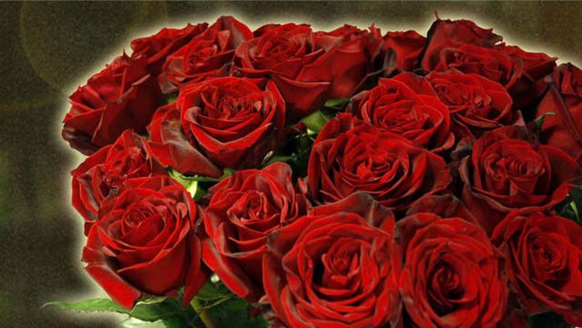Ein Strauss Rosen stehen am Donnerstag, 14. Februar 2008, im Geschaeft Blumen 31 im Bleibtreu in Berlin. Am Valentinstag sind gerade Rosen sehr gefragt. (AP Photo/Franka Bruns)
---A bouquet of roses is on display in a flower shop in Berlin, Thursday, Feb. 14, 2008. Especially on Valentine's Day, the rose is the favorite flower to pick. (AP Photo/Franka Bruns)