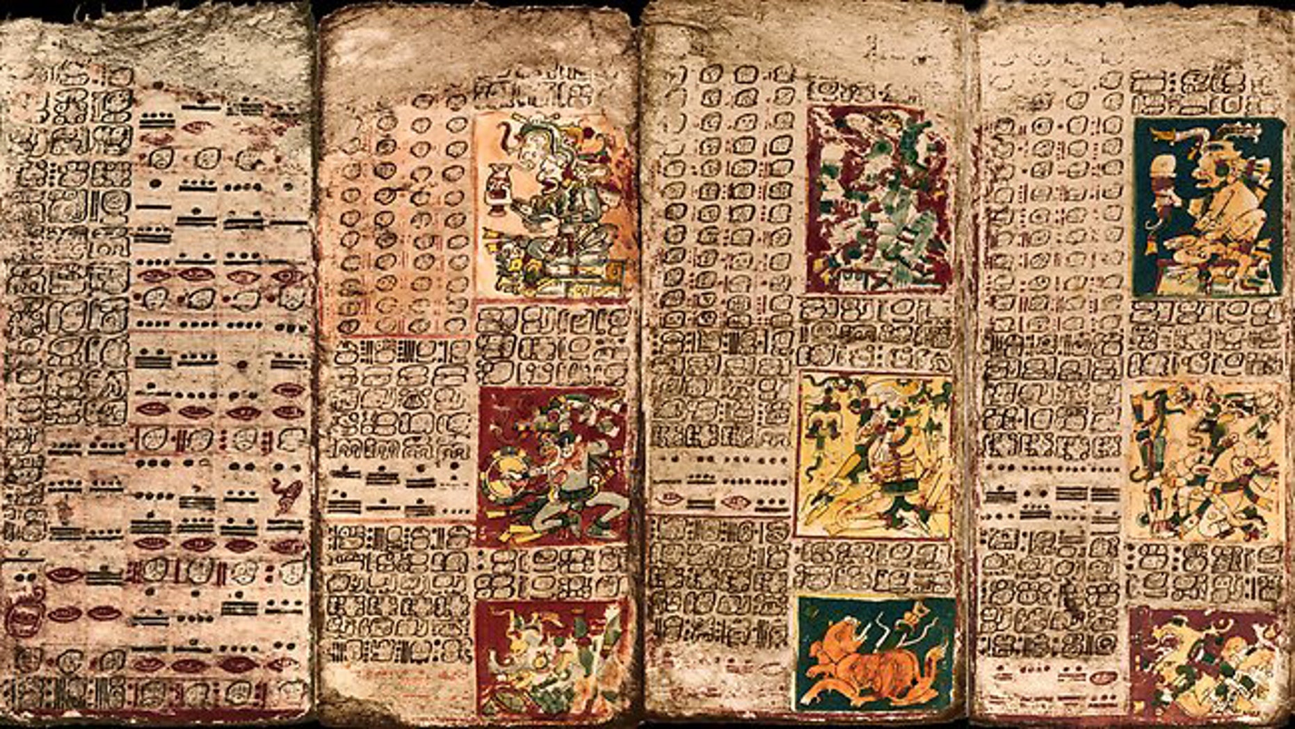 Pages from the Dresden Codex, one of only four Maya books known to have survived the Conquest.