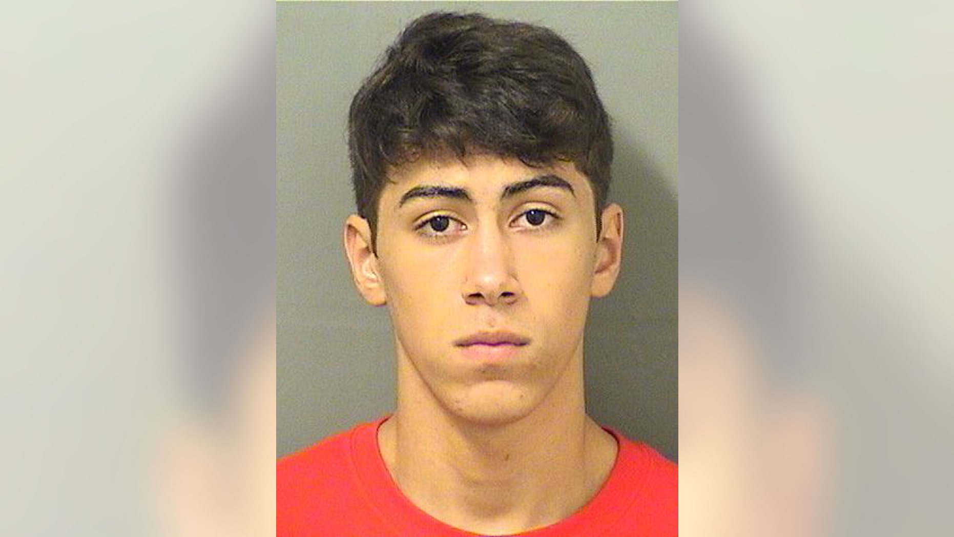 Timothy Adam Walding, 18, allegedly raped his neighbor then offered to make it up to his victim, according to an arrest report.