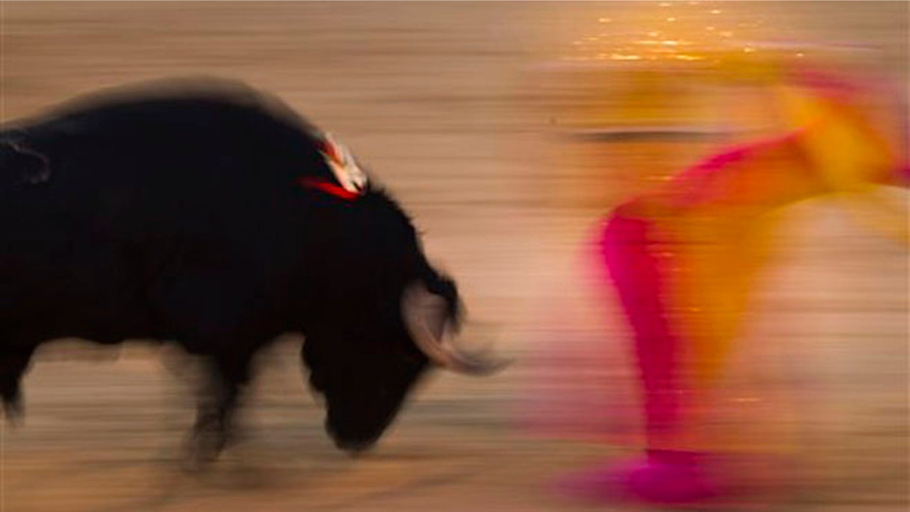 File - In this Aug. 15, 2010 file photo, Spanish bullfighter Victor Puerto performs during a bullfight at the Las Ventas Bullring in Madrid. Spain's state TV will start airing live bullfights again on Sept. 5, 2012 after the new conservative government lifted a six-year ban on the tradition that has been hard hit by declining popularity and the economic crisis. It's a big victory for pro-bullfighting forces who saw fights prohibited this year in the northeastern region of Catalonia. And it's a defeat for animal rights activists who denounce bullfighting as barbaric. The live transmissions were halted in 2006 by Spain's previous Socialist administration, which said they were costly and coincided with youth TV viewing hours. (AP Photo/Daniel Ochoa de Olza, File)