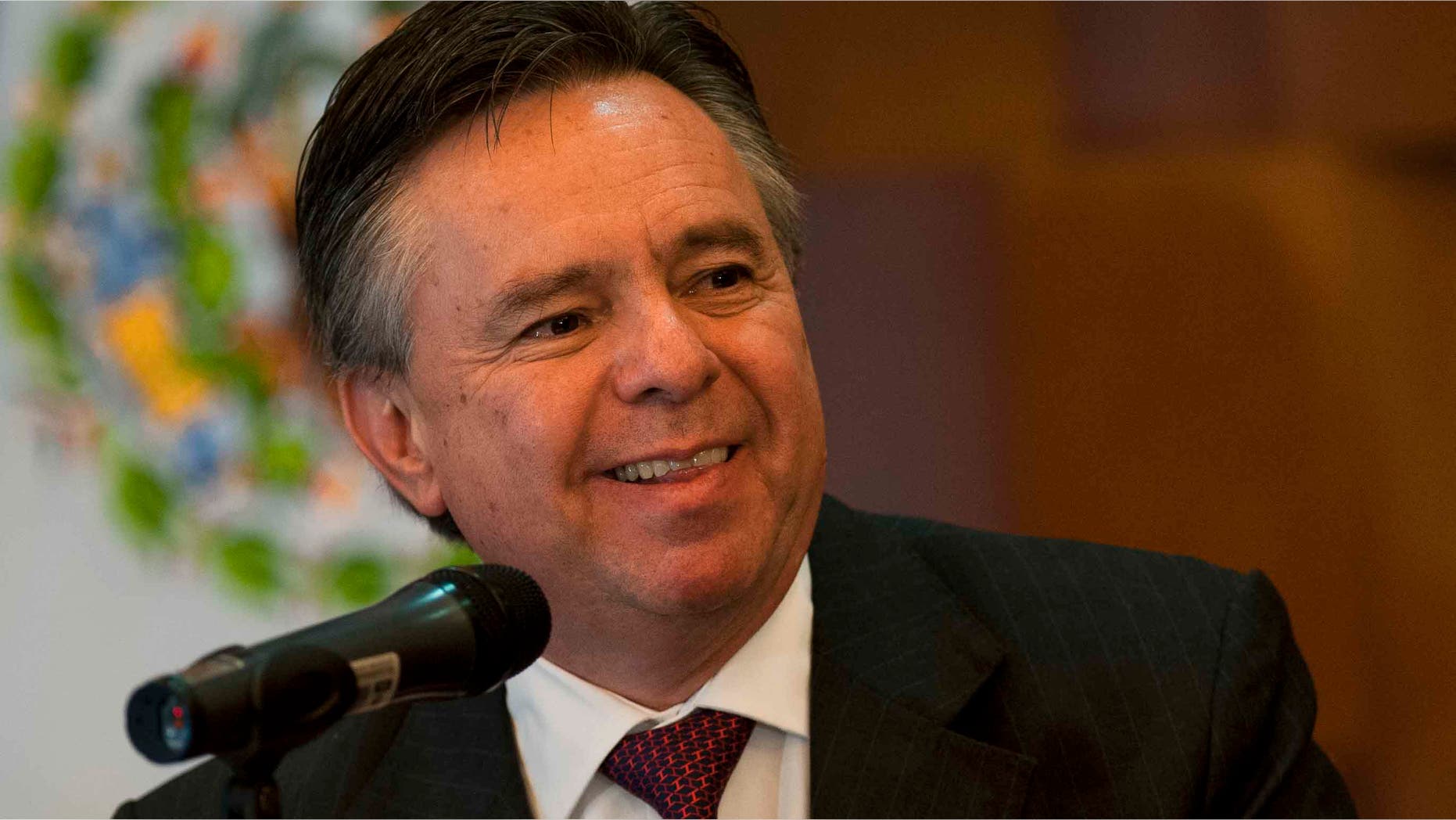 Eduardo Medina Mora at the Mexican Chancellery in Mexico City, on January 10, 2013.