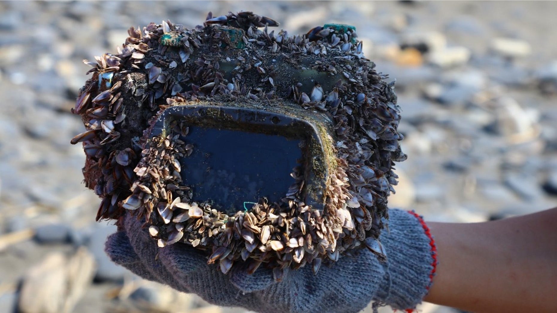 The camera was returned to its owner more than two years after it was dropped in the ocean.