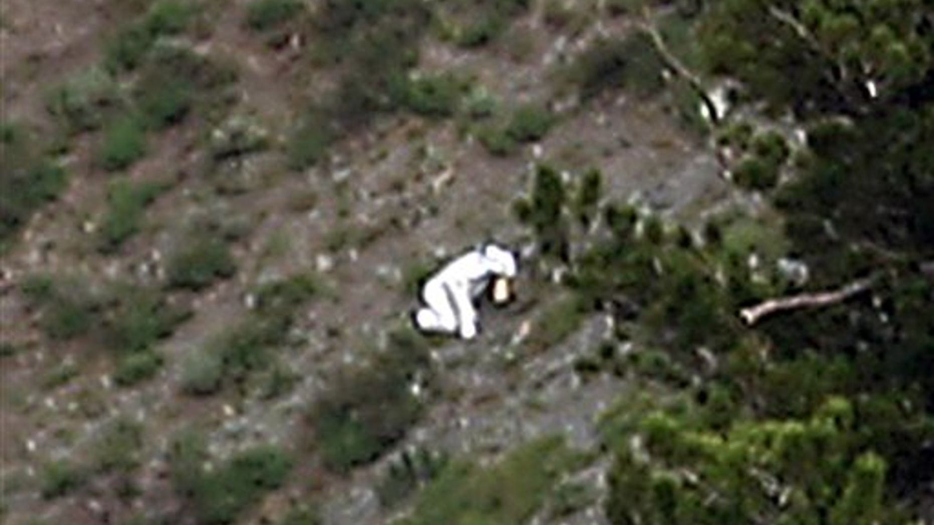 July 15, 2012: A person is seen in a goat suit in the Wasatch Mountains on Ben Lomond peak outside of Ogden, Utah. Wildlife officials are worried he could be in danger as goat hunting season approaches.