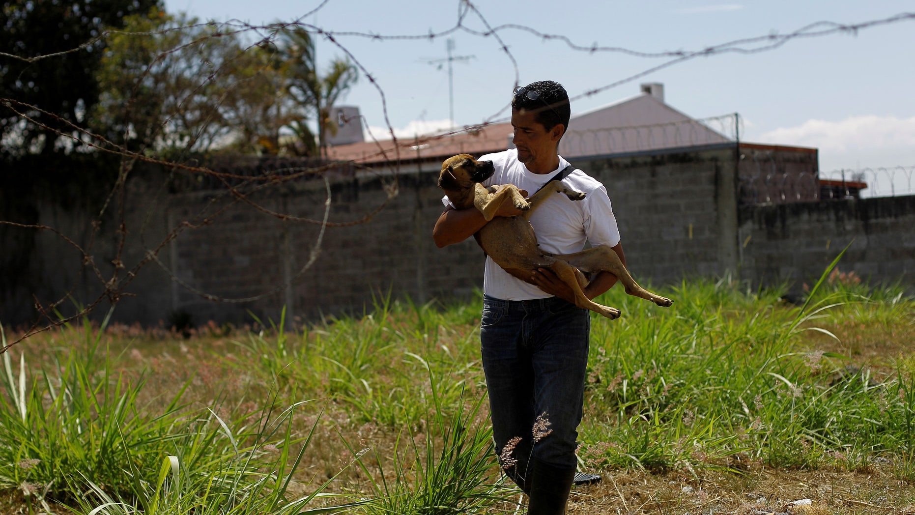 Alvaro Saumet rescues a stray dog in San Jose, Costa Rica, April 22, 2016.