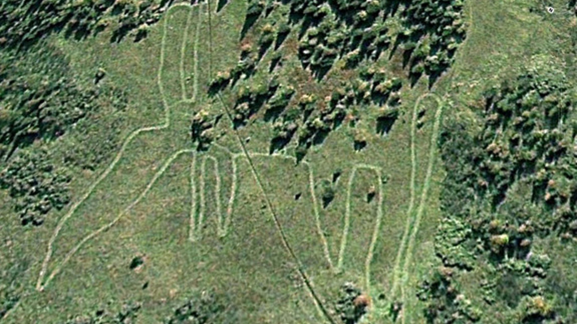 A historical Google Earth image from 2007 showing the animal-shaped geoglyph in Russia, which may predate Peru's famous Nazca Lines.