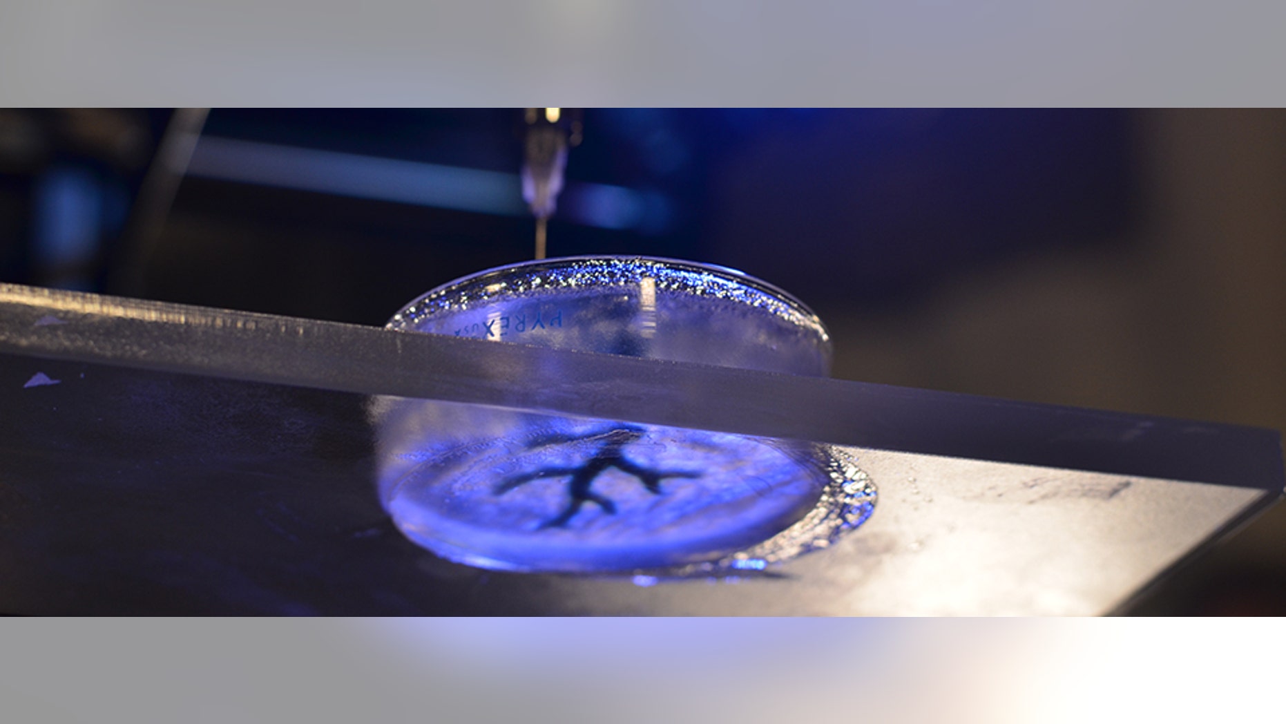 The technique involves filling a petri dish with a semiliquid mixture, dropping a syringe inside and 3-D printing soft material like collagen and fibrin, which are similar to biological components.