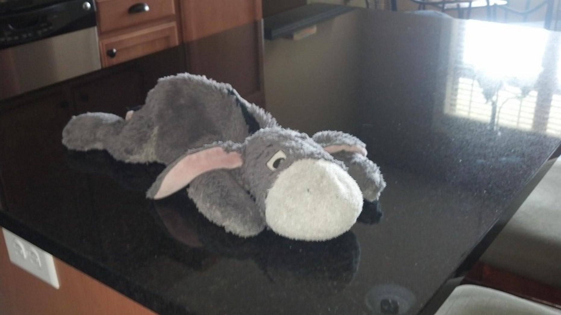 Justin Ihle, William's father, said that Eeyore (pictured above) has been missing since April 4.