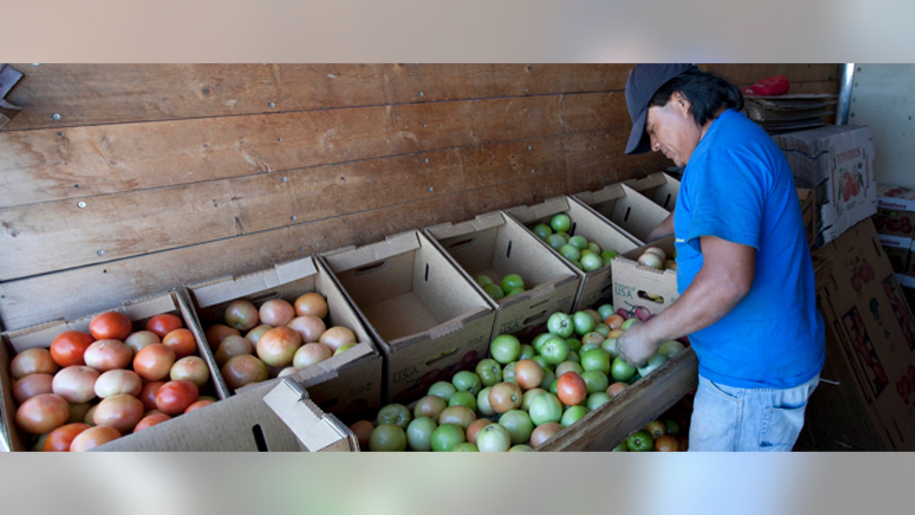 Alabama employers say Latinos -- including legal immigrants -- are not showing up at their jobs because of the hostile environment they feel since an immigration law took effect.