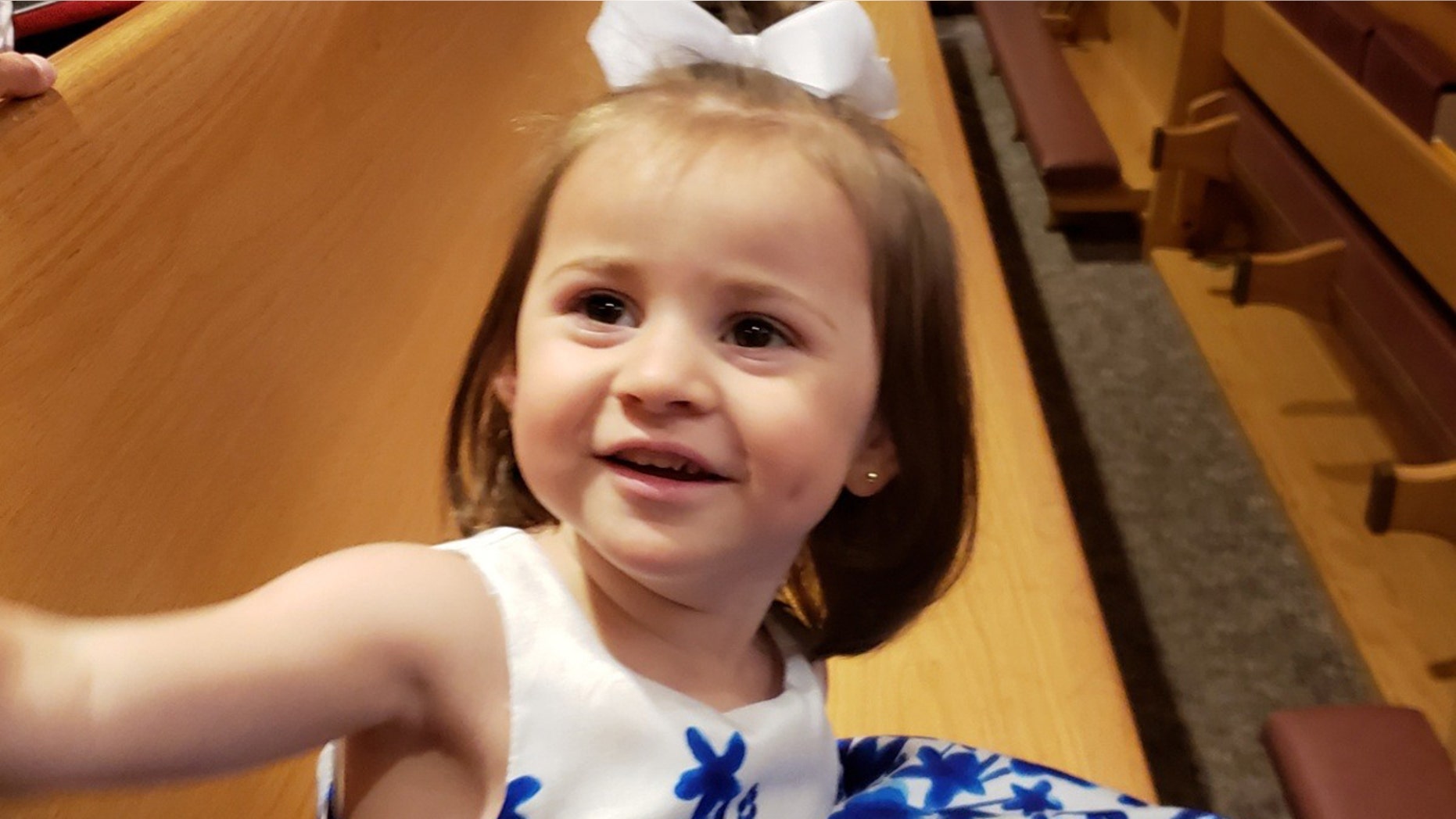 Felicity Karam, 2, died after an ice cream truck hit her on Sunday afternoon.