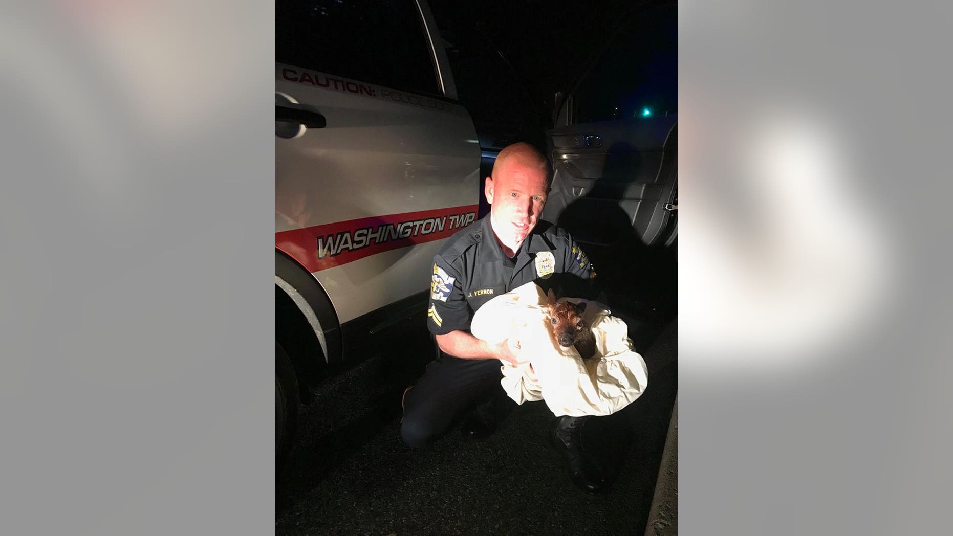 A police officer in Washington Township, New Jersey delivered a fawn via C-section early Sunday morning after its mother was hit and killed.