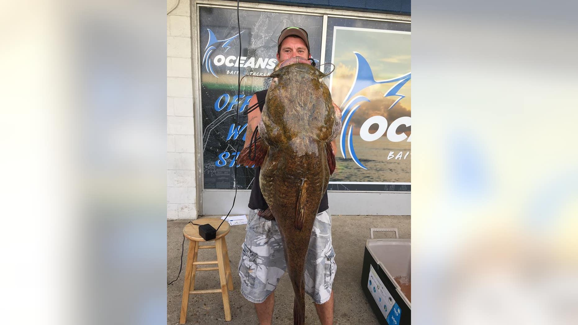 Virginia resident Jeffrey Dill reeled in a record-breaking flathead catfish out of Lake Smith in Virginia Beach.