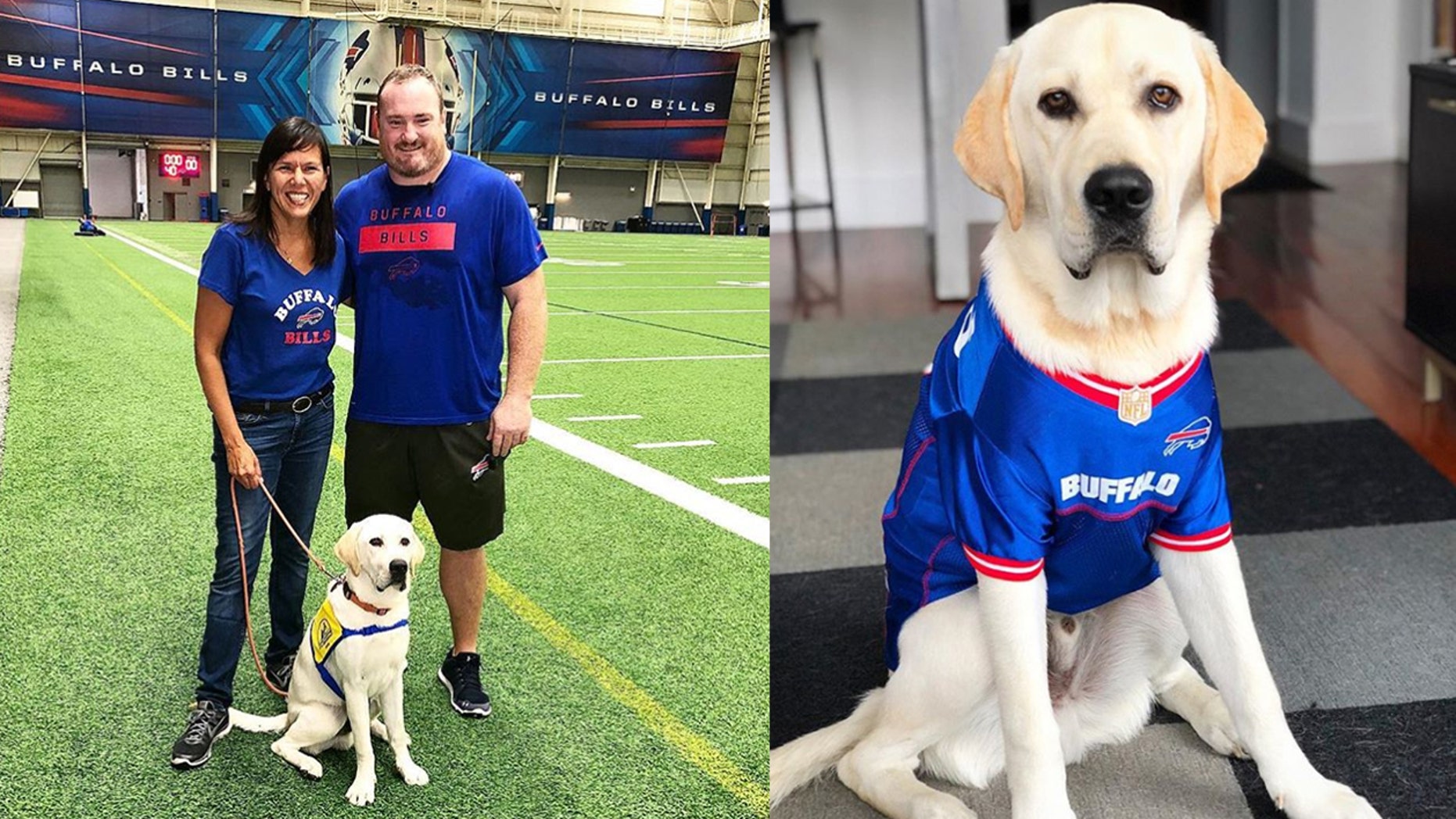 buffalo bills dog jersey