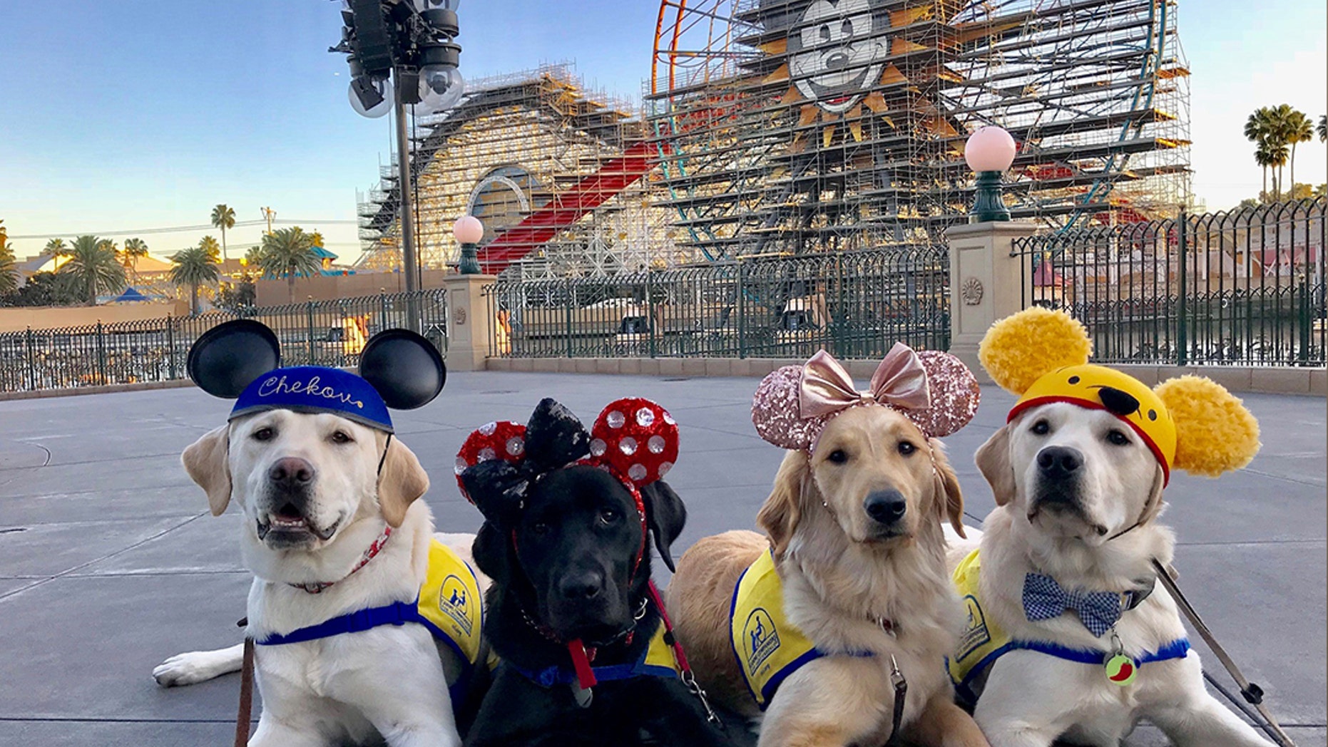 Volunteers say that Chekov, Aryssa, Essie and Ortega (left to right) had a great day at the park.