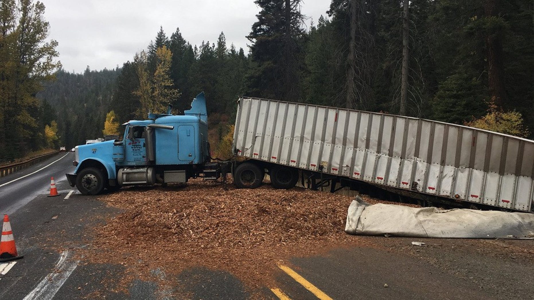 A truck driver in Washington rolled off the road Wednesday after he was distracted by the taco he was eating.