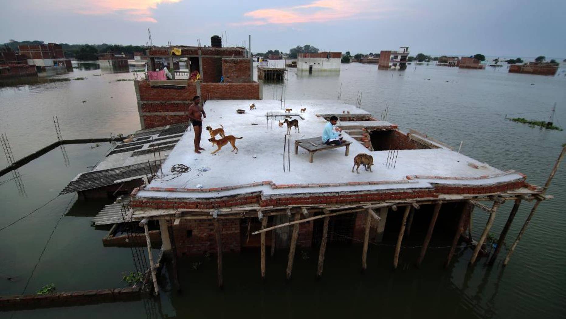 A flood affected person, left, who rescued four dogs and their four puppies plays on the roof of their under constructed submerged house in Allahabad, India, Thursday, Aug. 25, 2016. Heavy monsoon rains have ended two successive drought years in India with the Ganges River and its tributaries rising above the danger level, triggering evacuation of hundreds of thousands of people from flooded homes in north and eastern India. (AP Photo/Rajesh Kumar Singh)
