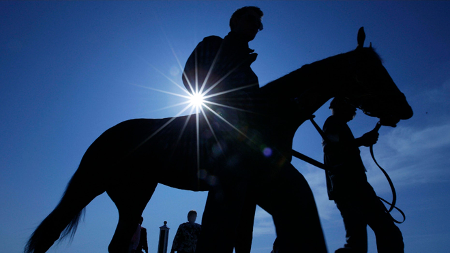 An exercise rider and horse are lead off the track after a morning workout at Pimlico Race Course, Friday, May 18, 2012, in Baltimore. The Preakness Stakes horse race takes place Saturday at Pimlico.(AP Photo/Matt Slocum)
