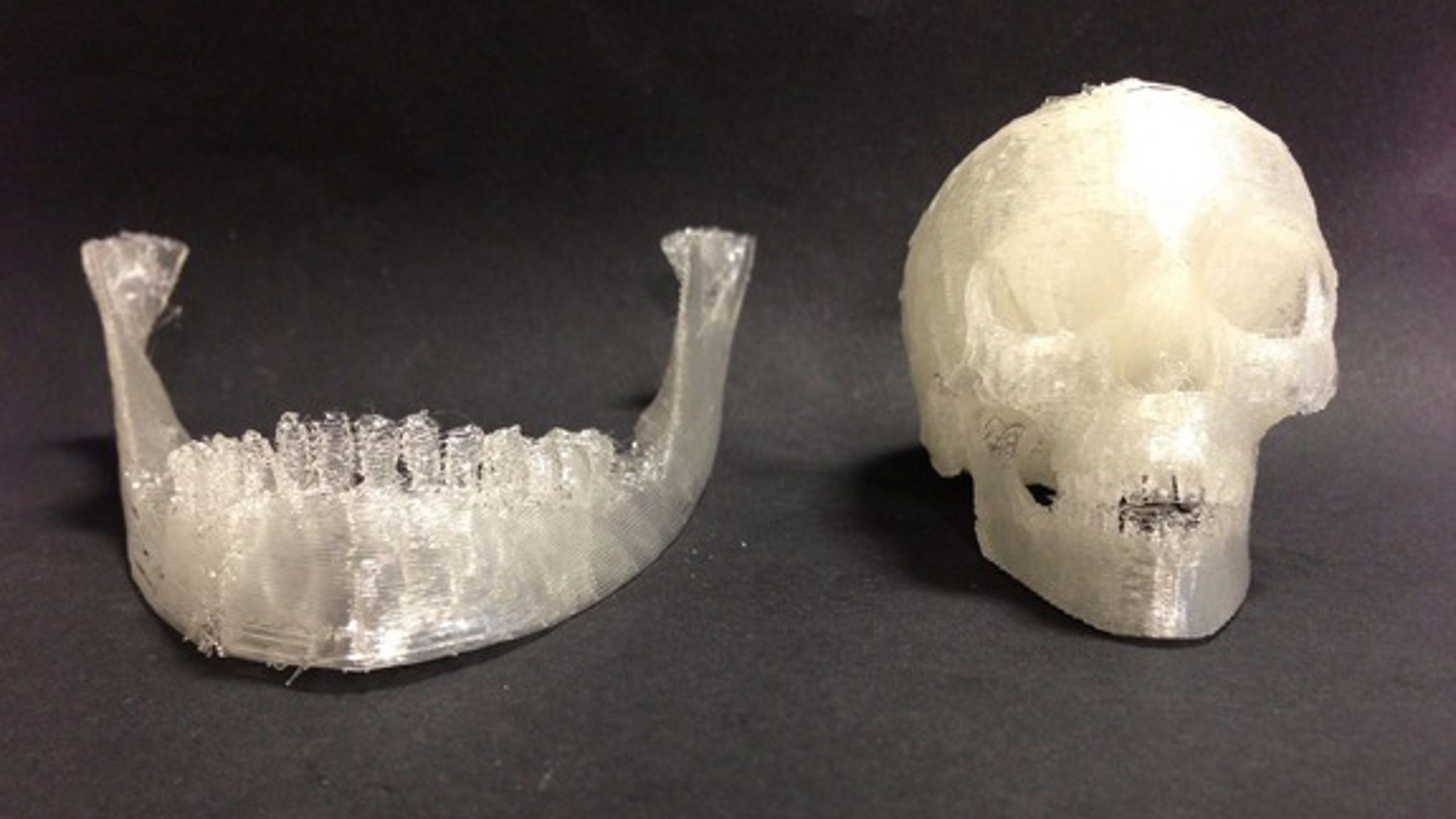 Using 3D printing, researchers can create scaffolds to repair/replace bone tissue. Shown here: a 3D printed skull.
