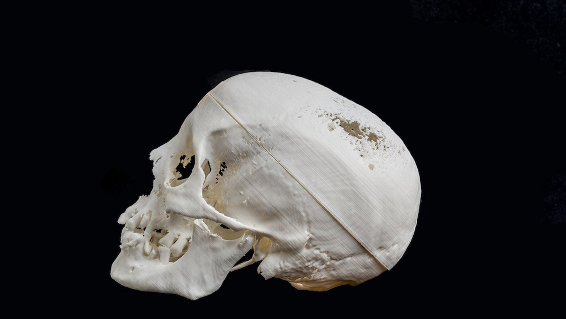 Researchers created a 3D-printed replica of the skull from an Egyptian mummy.