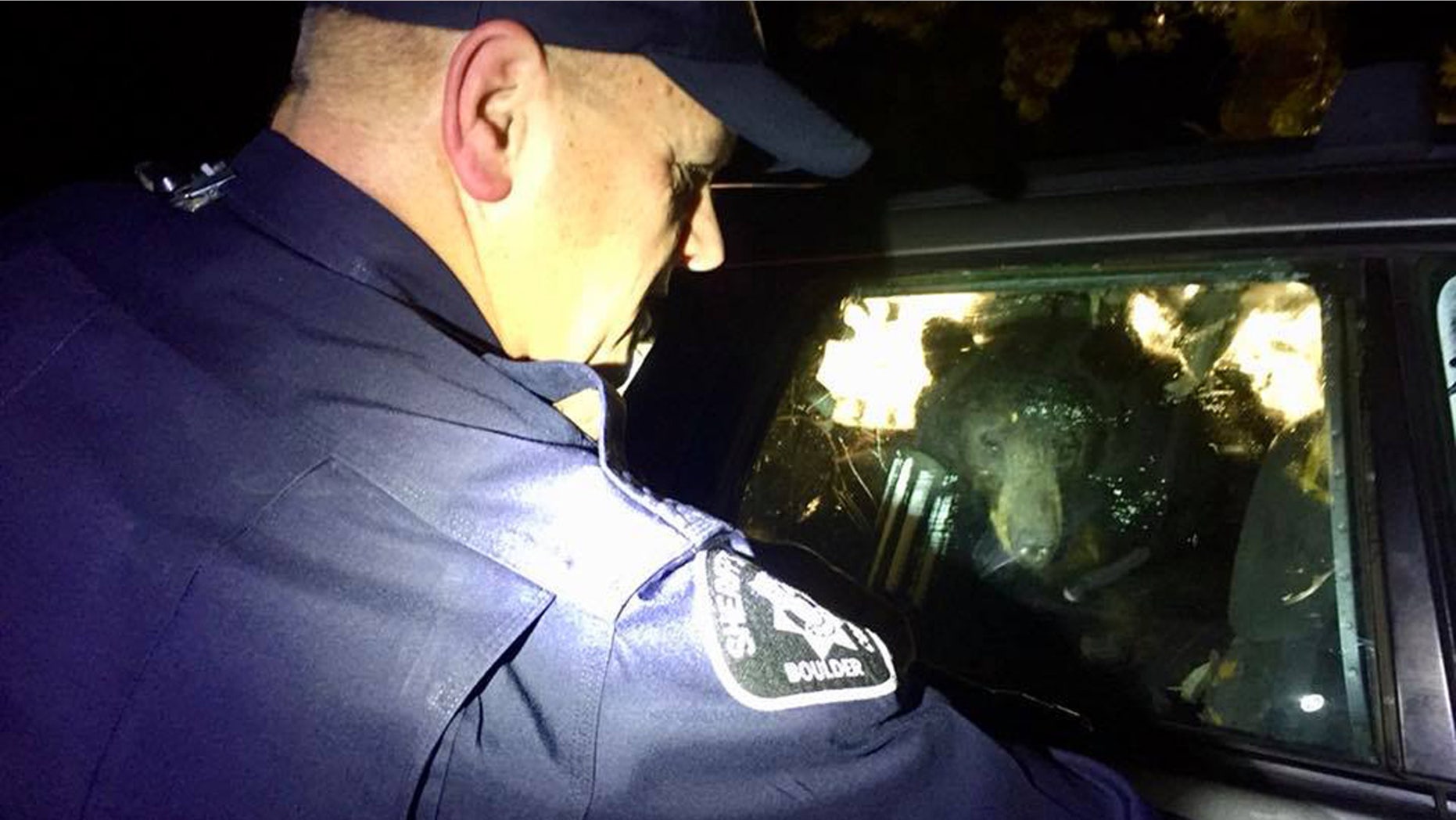 The Boulder County Sheriff’s Office had to free a bear from a car on Monday after it got locked inside.